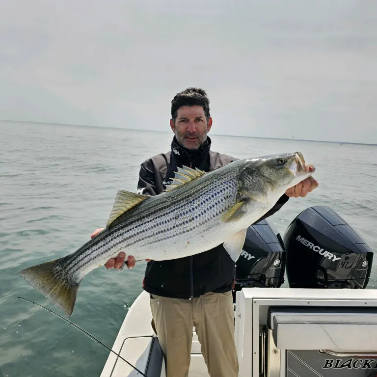angler catch