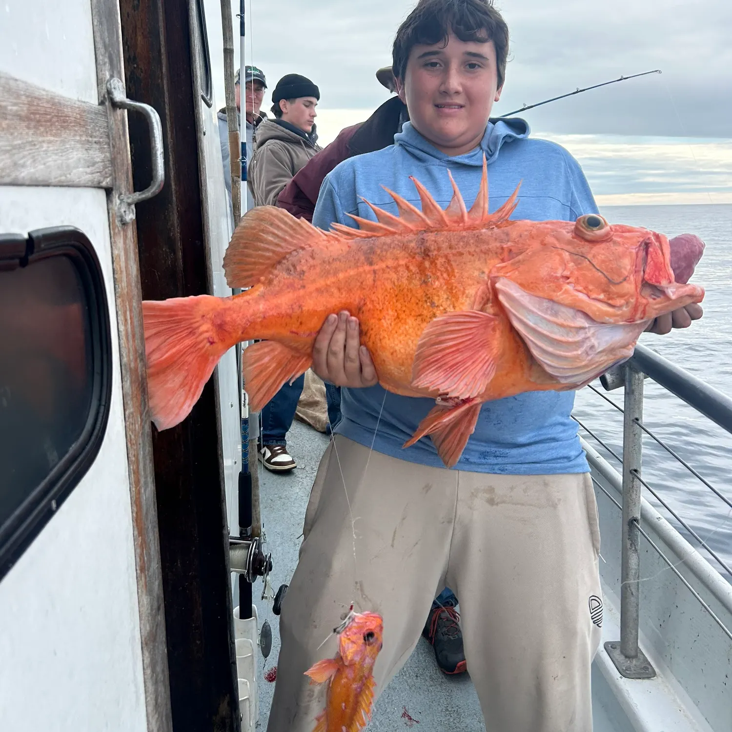 The most recent Yelloweye rockfish catches on Fishbrain