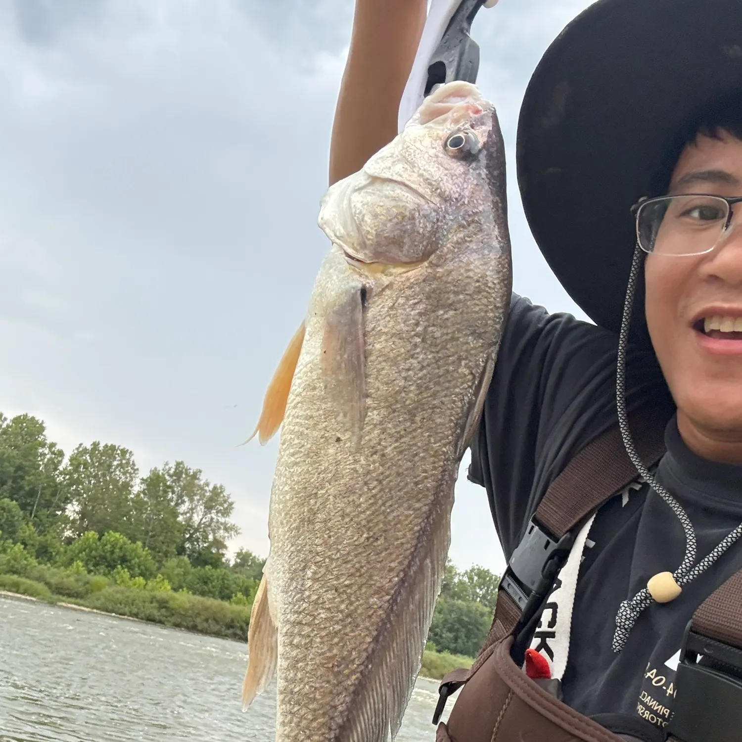 Freshwater drum caught on Fishbrain