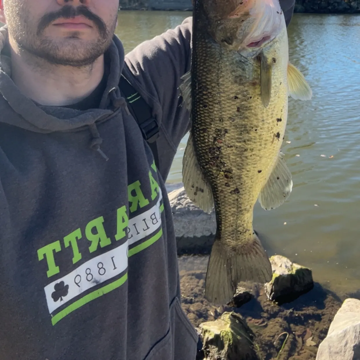 Largemouth bass caught on Fishbrain
