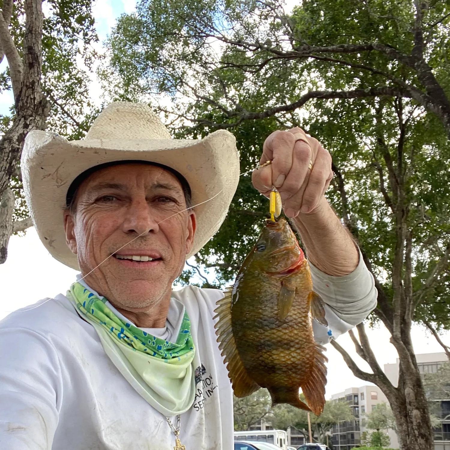 The most recent Mayan cichlid catches on Fishbrain