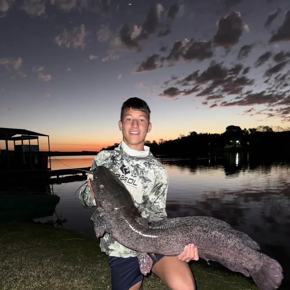 The most recent North African catfish catches on Fishbrain
