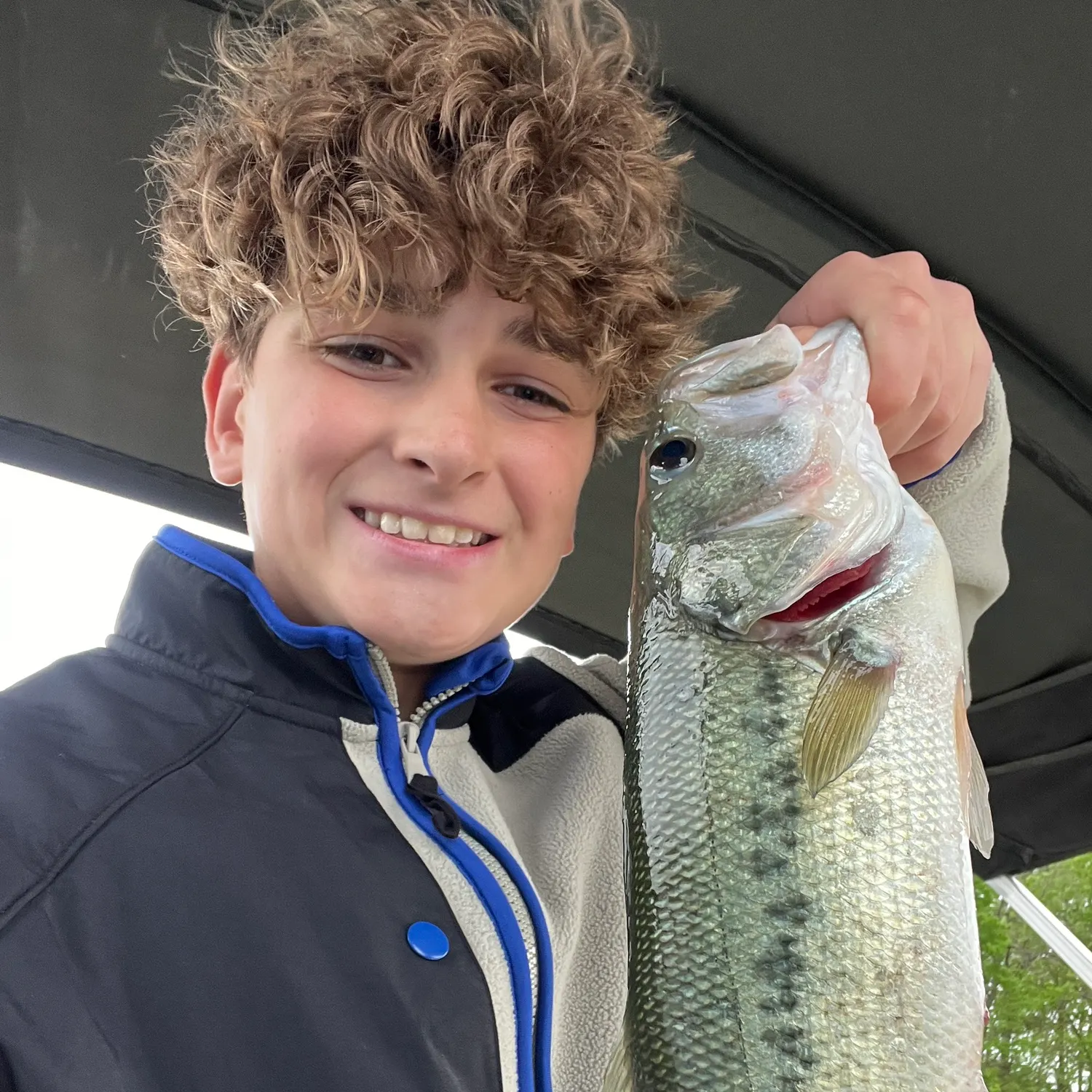 most liked catch image