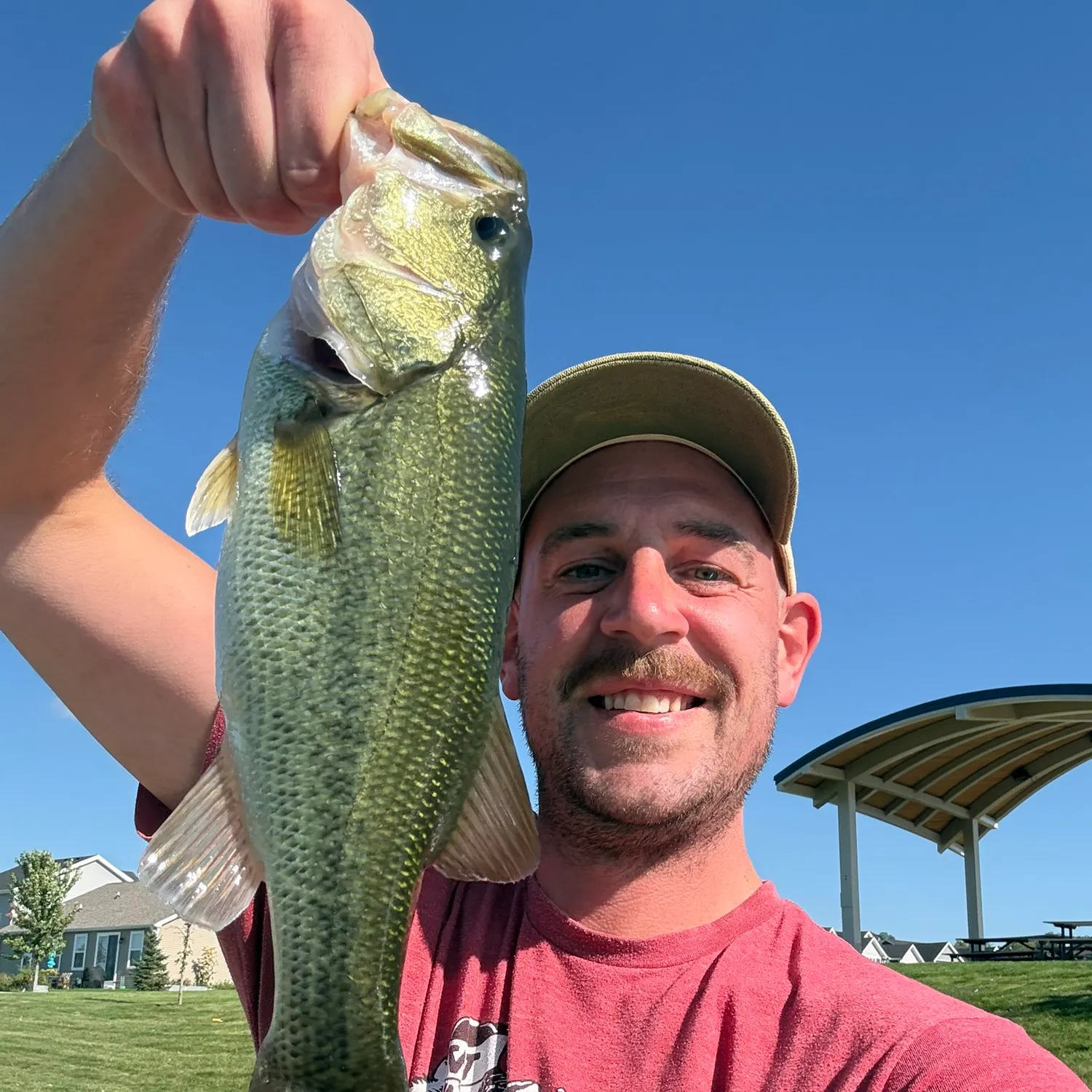 Largemouth bass caught on Fishbrain