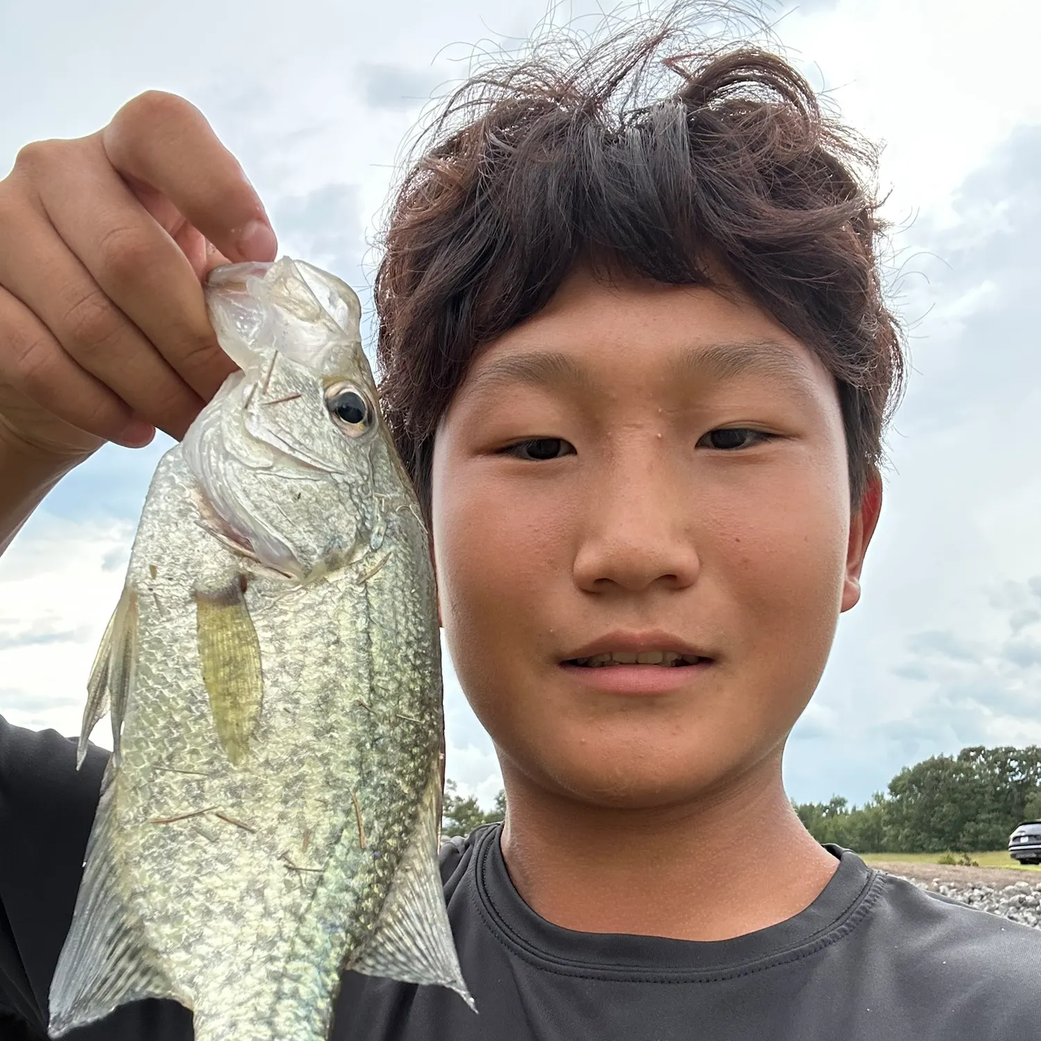 Black crappie caught on Fishbrain