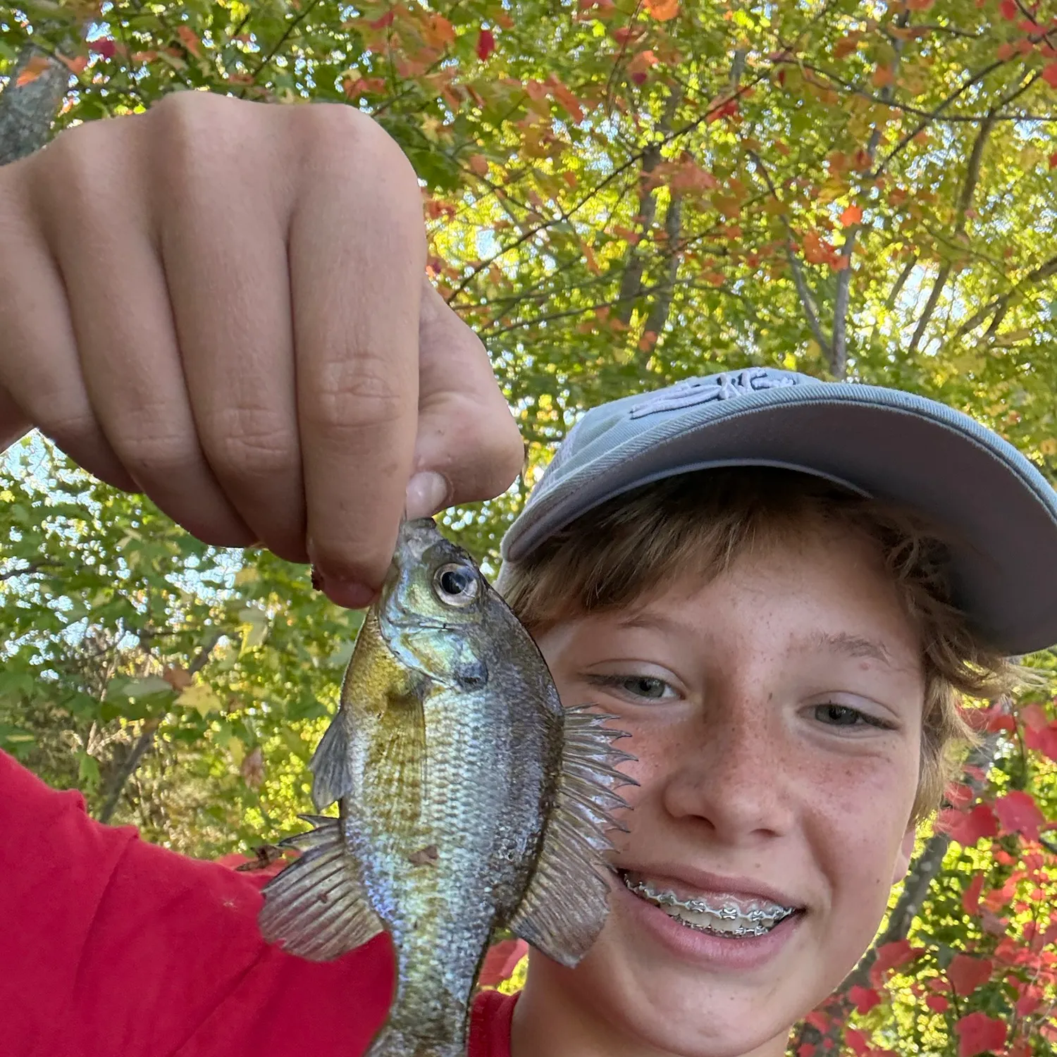 Bluegill caught on Fishbrain