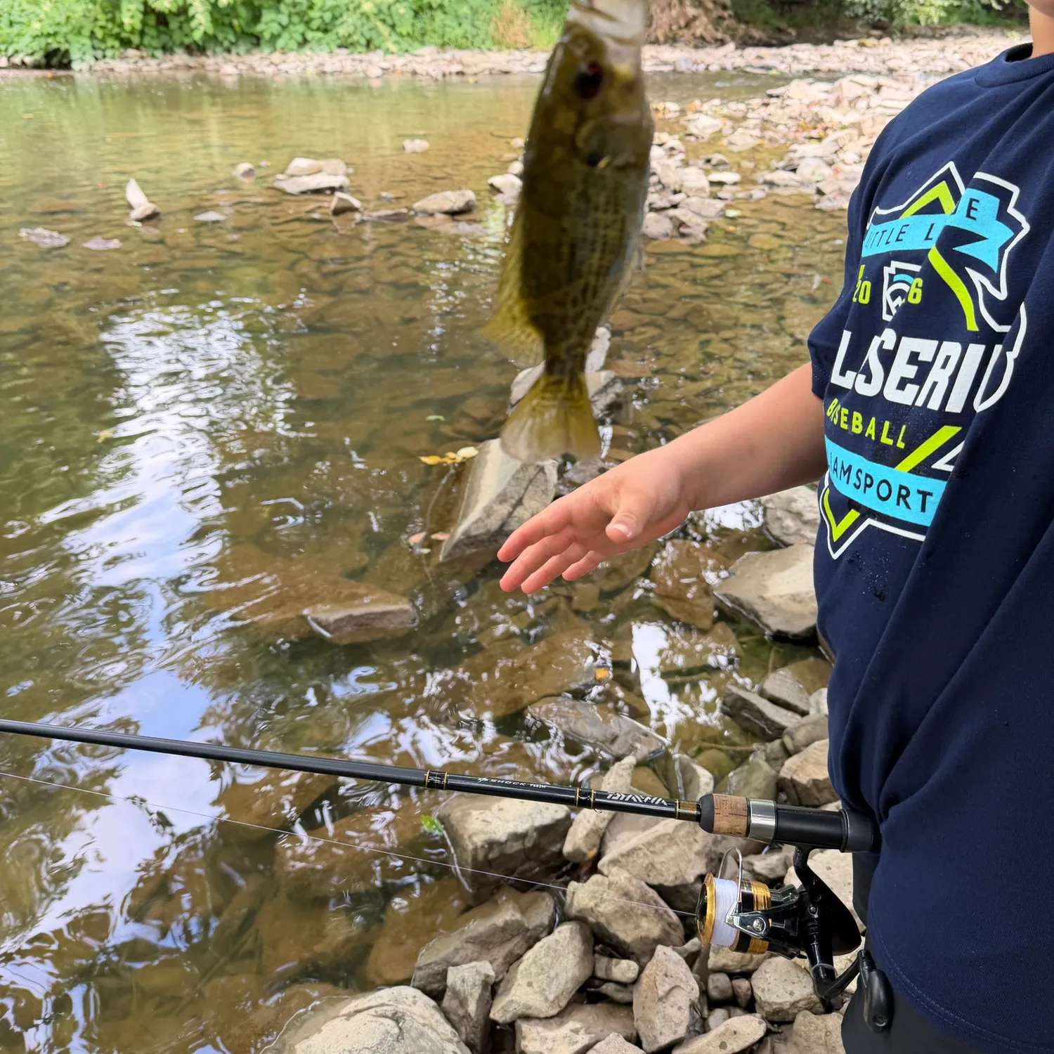 Spotted bass caught on Fishbrain