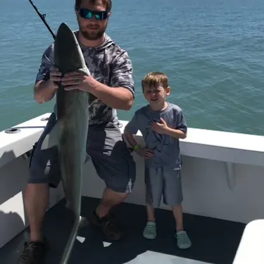 The most recent Finetooth shark catches on Fishbrain