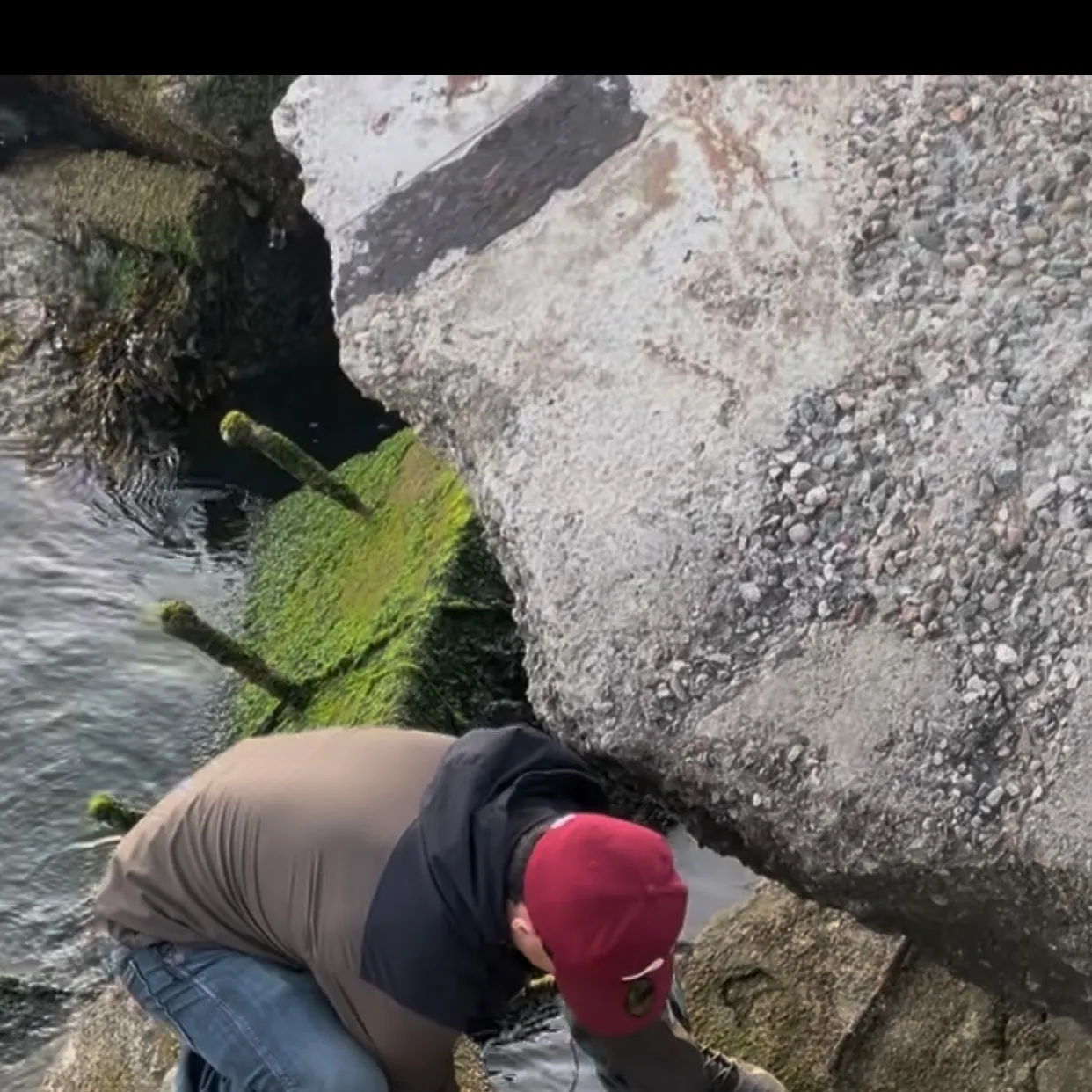 The most recent Big skate catches on Fishbrain