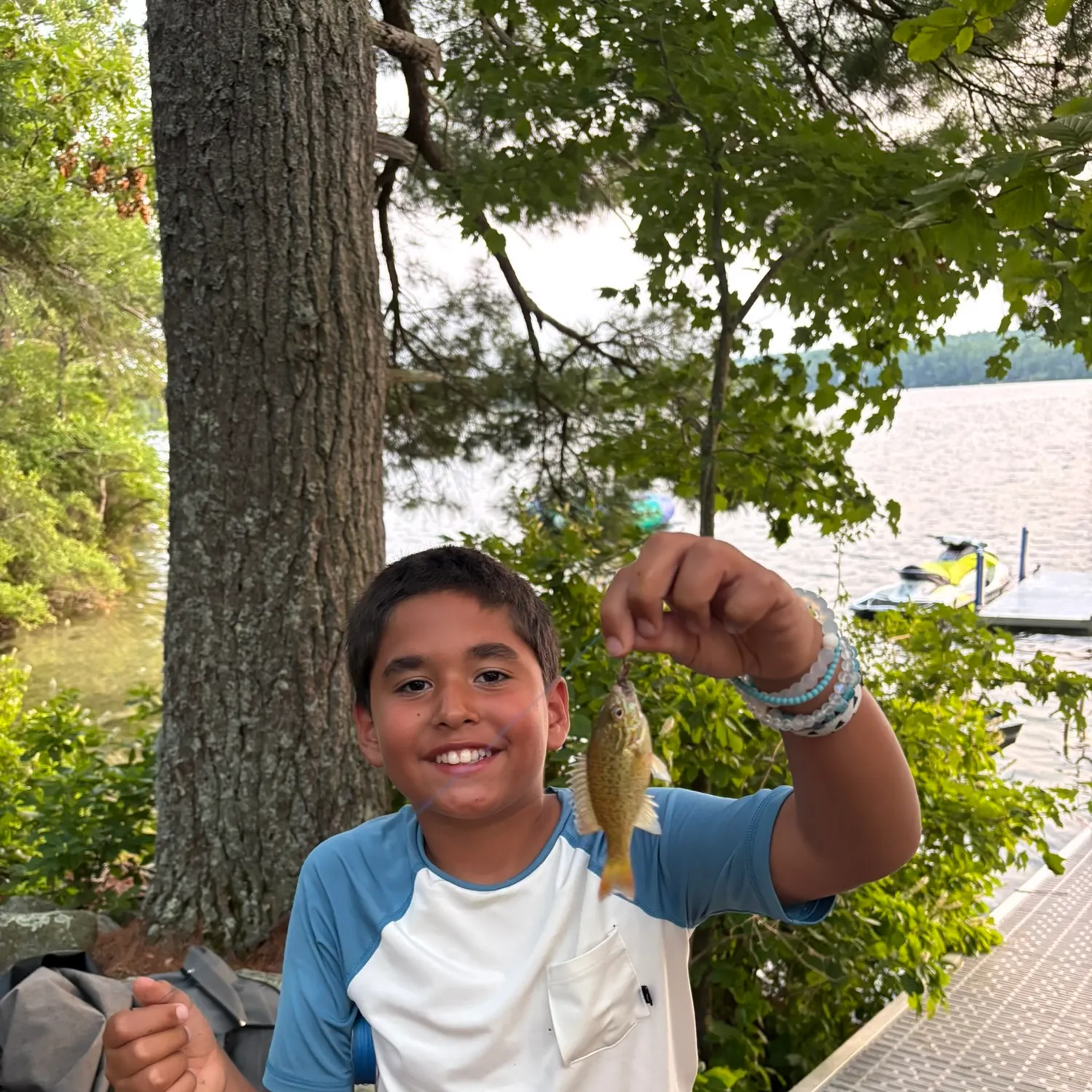 The most recent Redbreast sunfish catches on Fishbrain