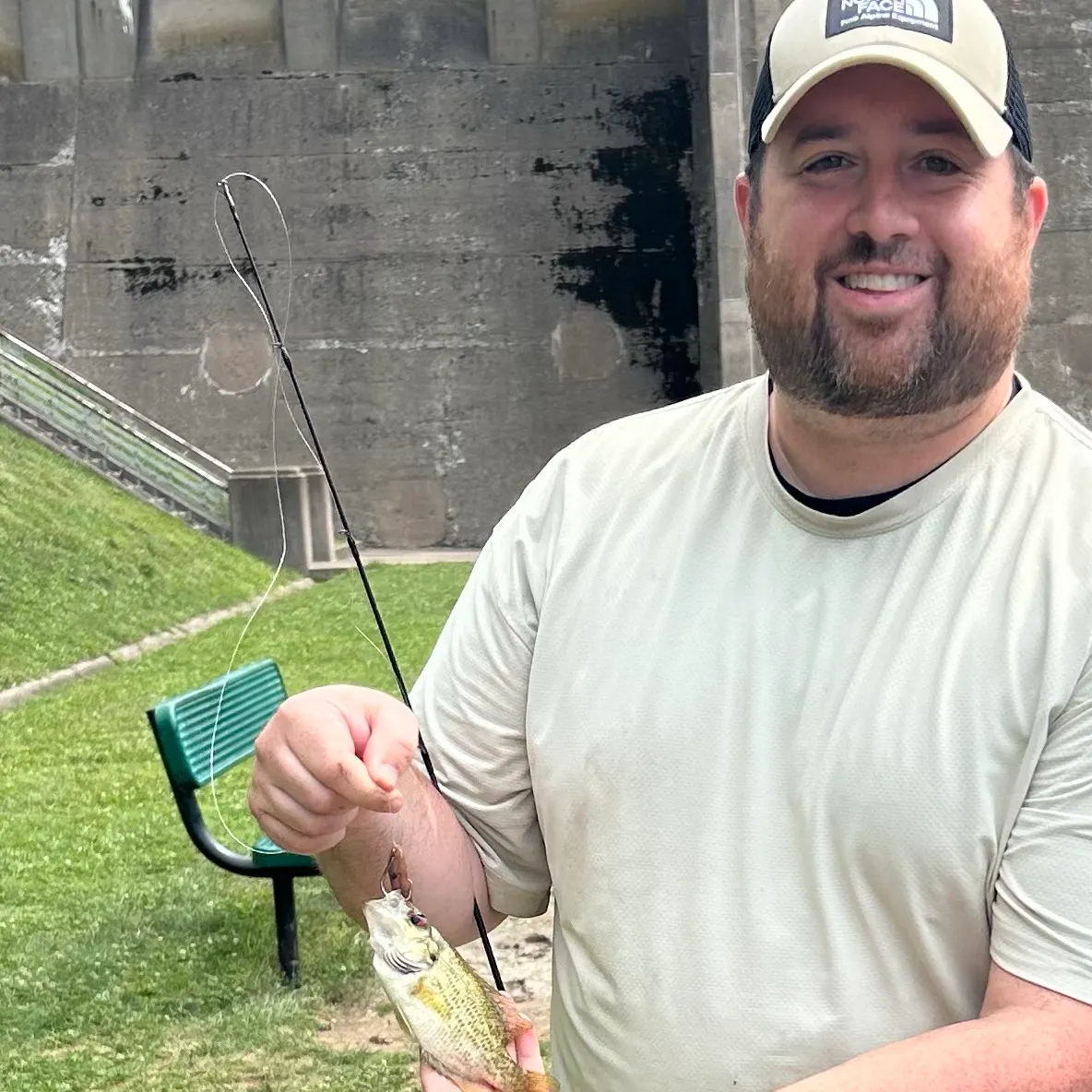 Rock bass caught on Fishbrain