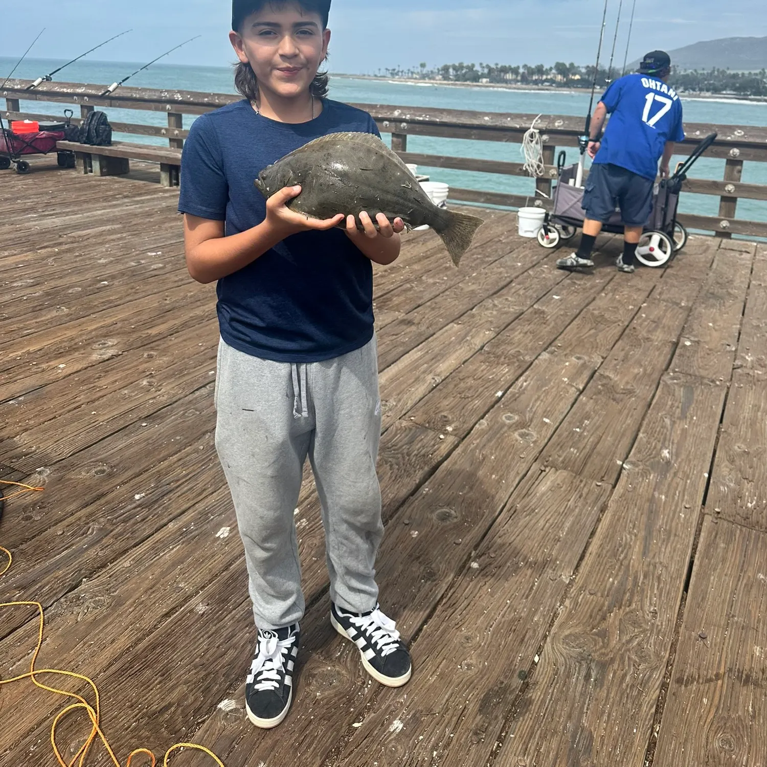 California halibut caught on Fishbrain