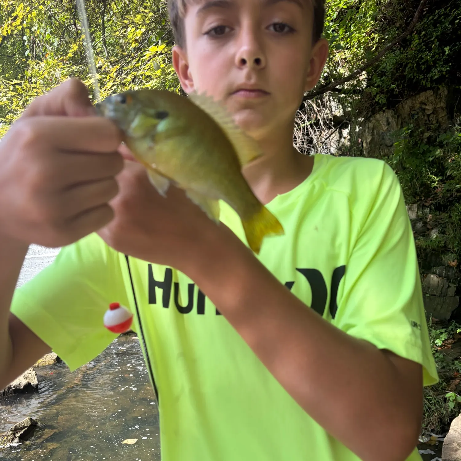 Smallmouth bass caught on Fishbrain
