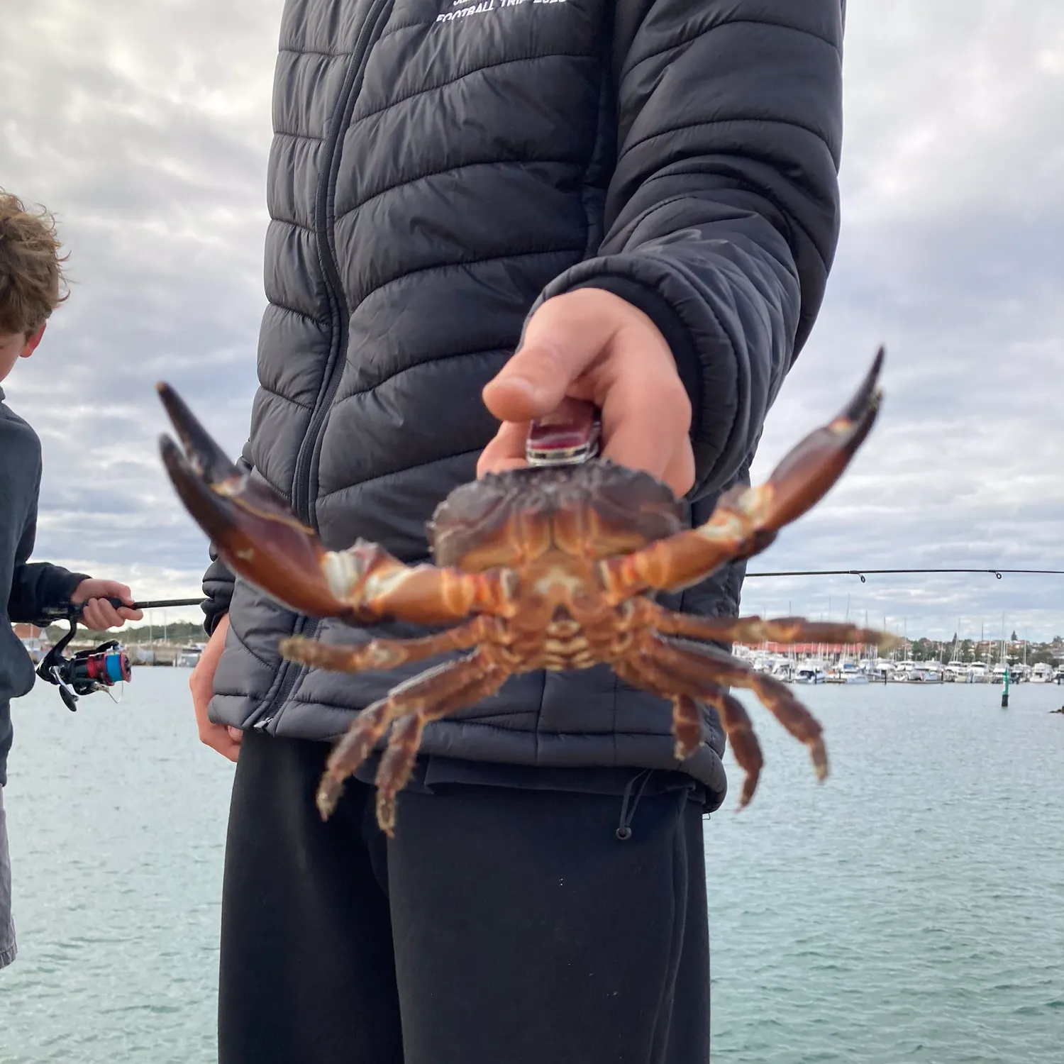The most recent Red rock crab catches on Fishbrain