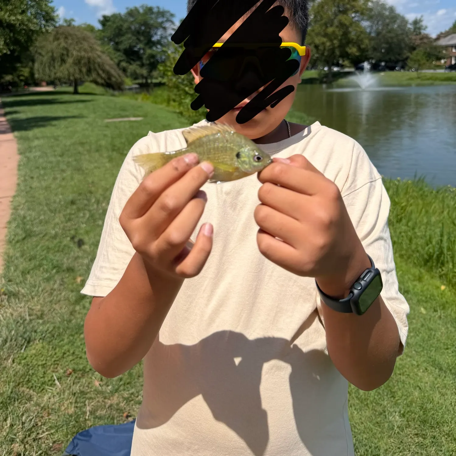 Bluegill caught on Fishbrain