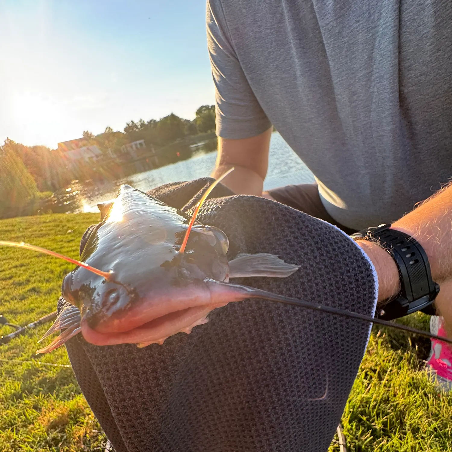 catch