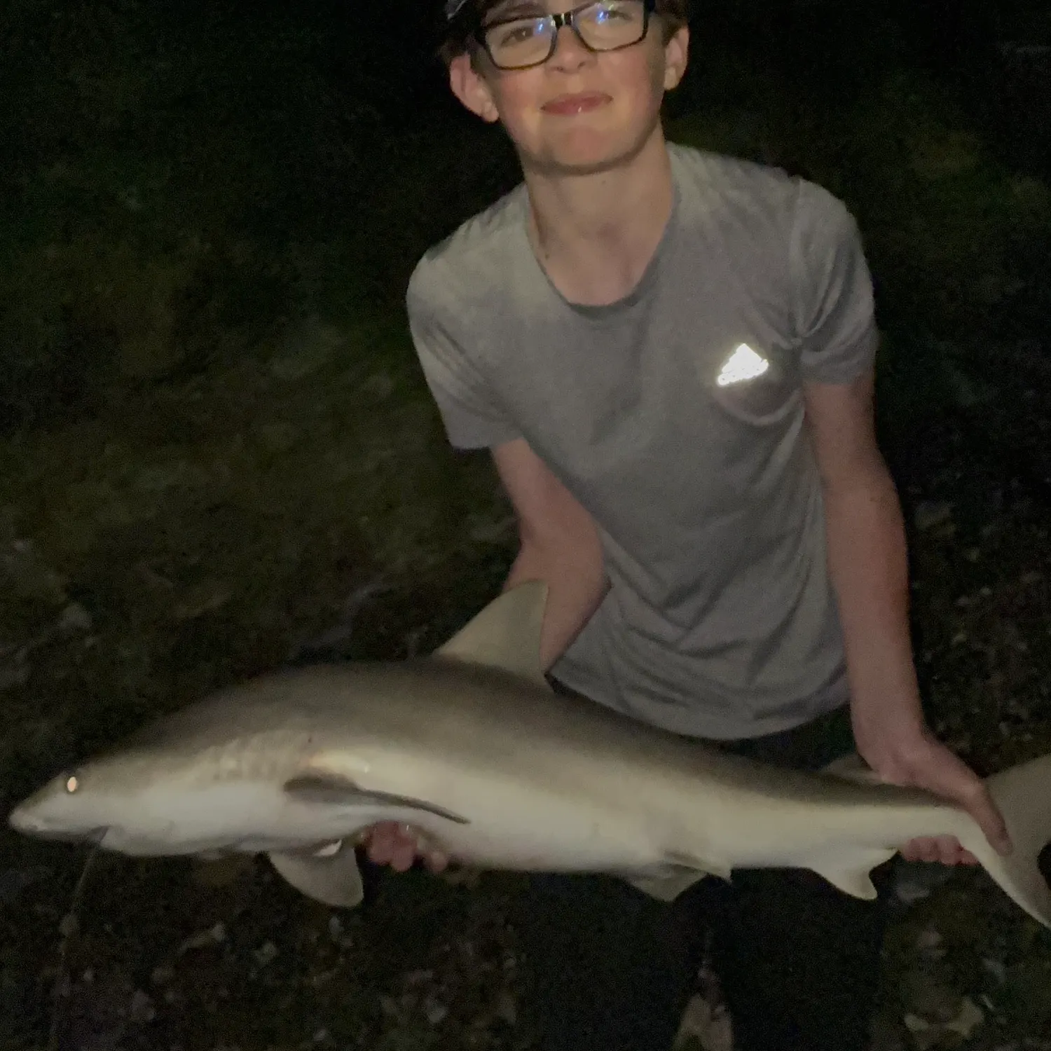 The most recent Blacknose shark catches on Fishbrain