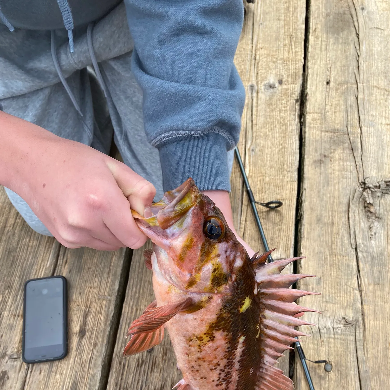 recently logged catches