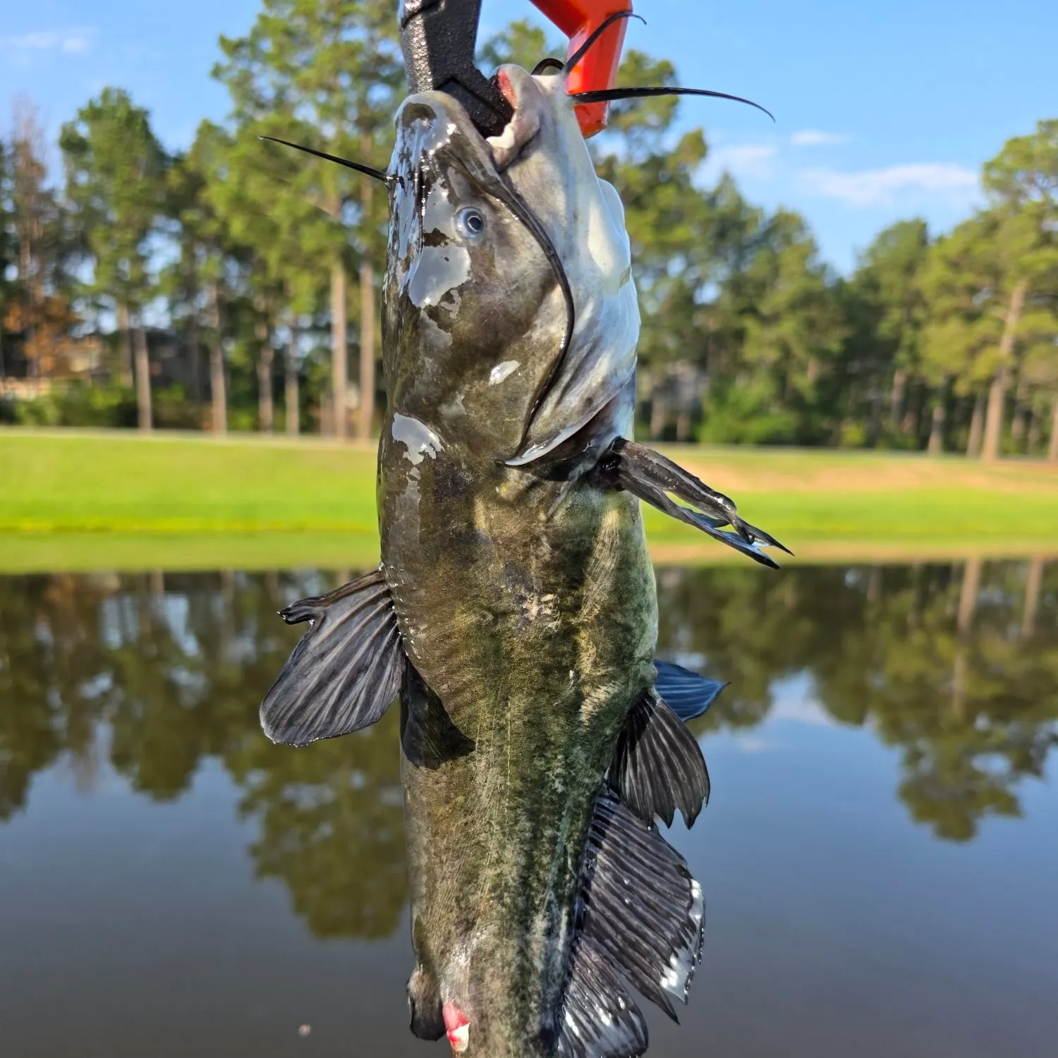 catch