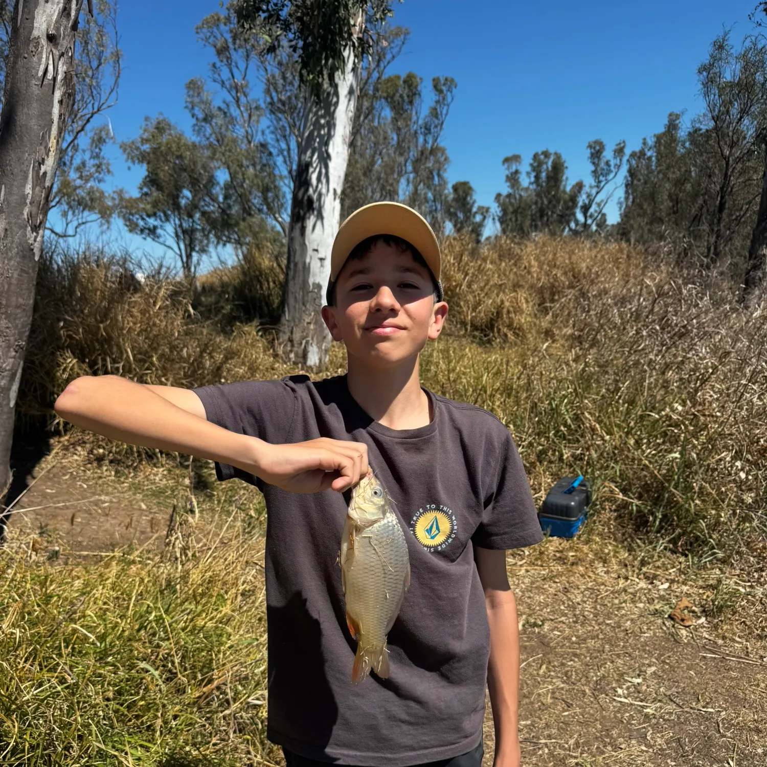 Common carp caught on Fishbrain