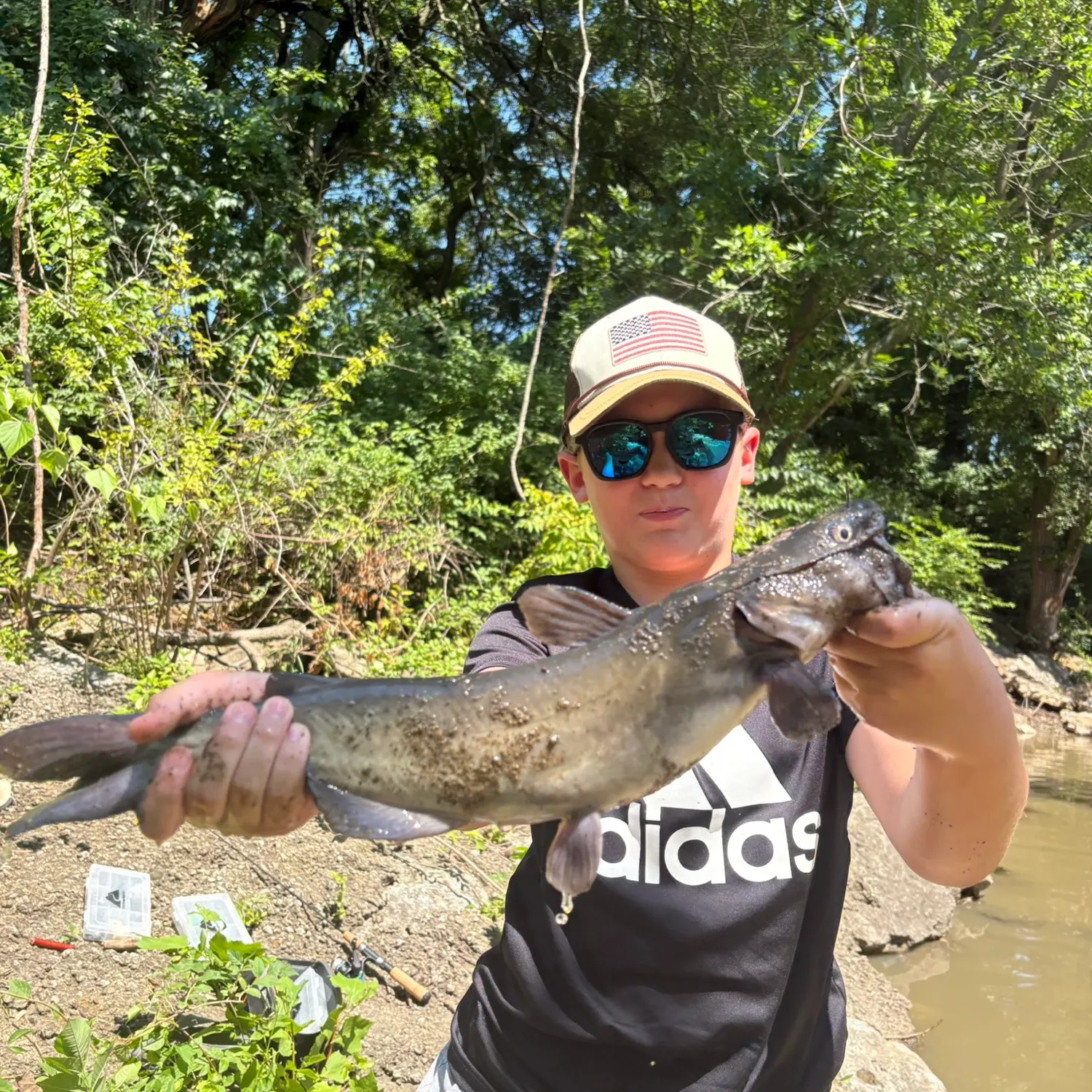 Channel catfish caught on Fishbrain
