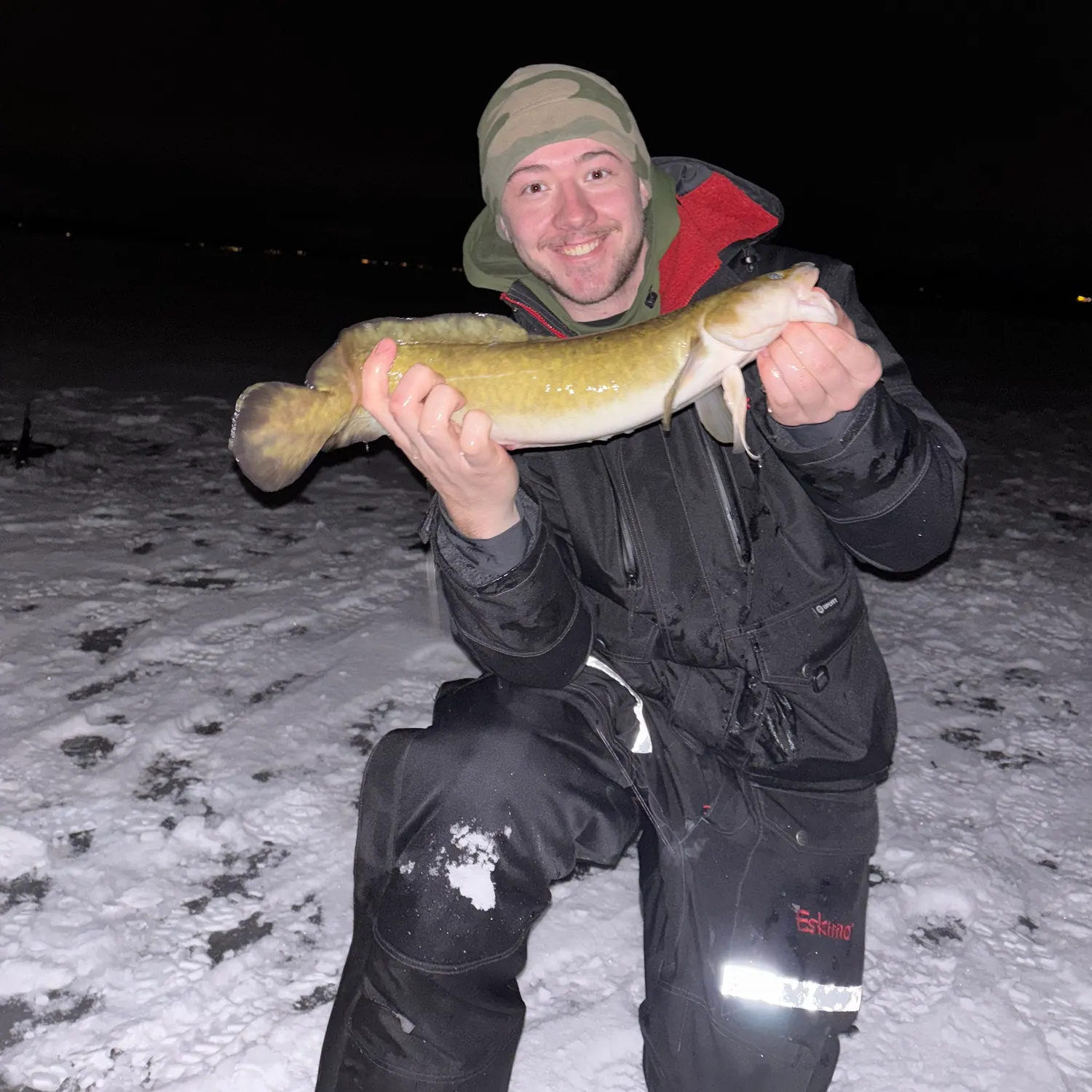 The most recent Burbot catches on Fishbrain