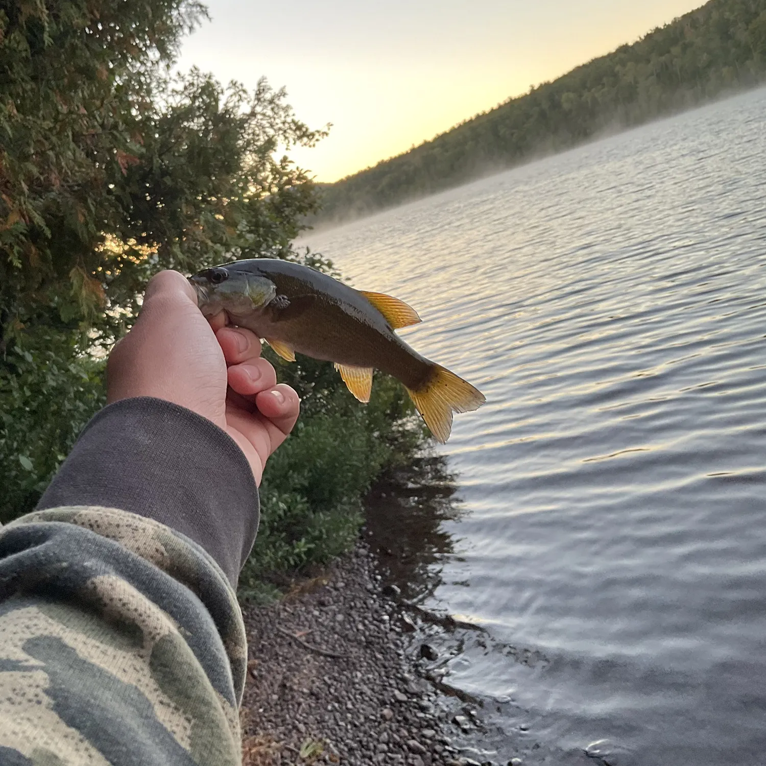 Smallmouth bass caught on Fishbrain