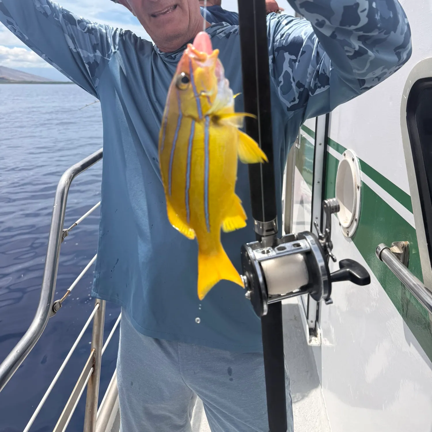 The most recent Common bluestripe snapper catches on Fishbrain