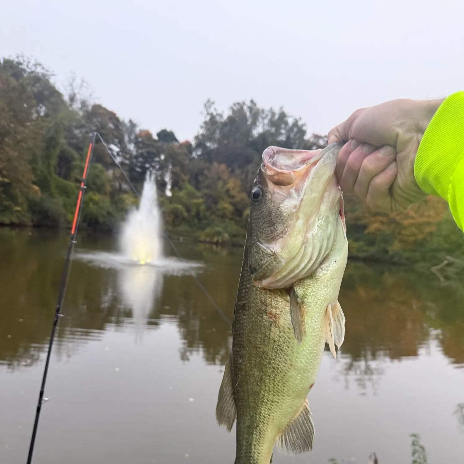 Fish caught on Fishbrain