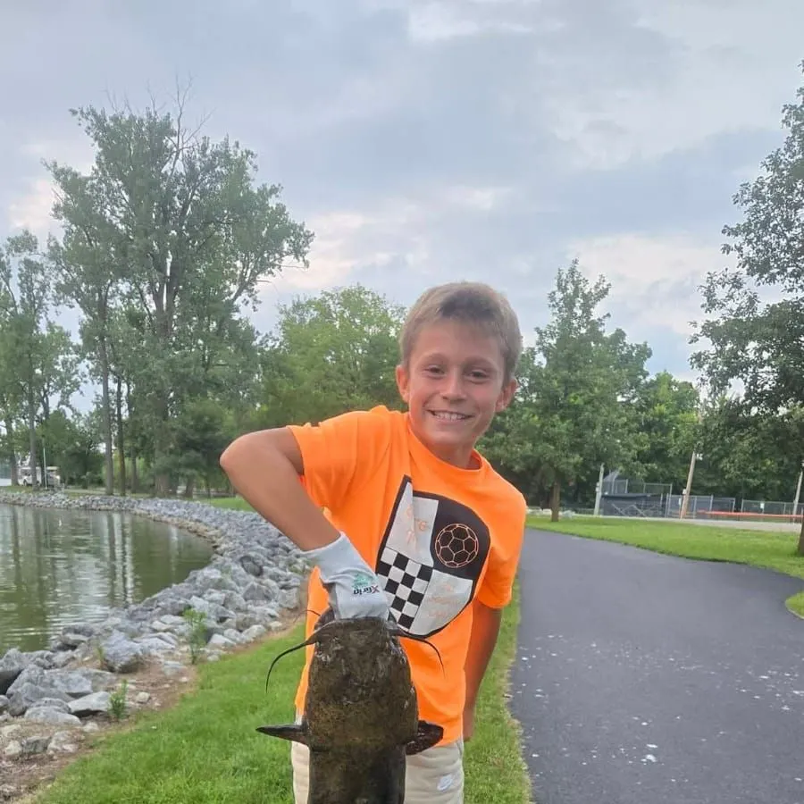 Flathead catfish caught on Fishbrain