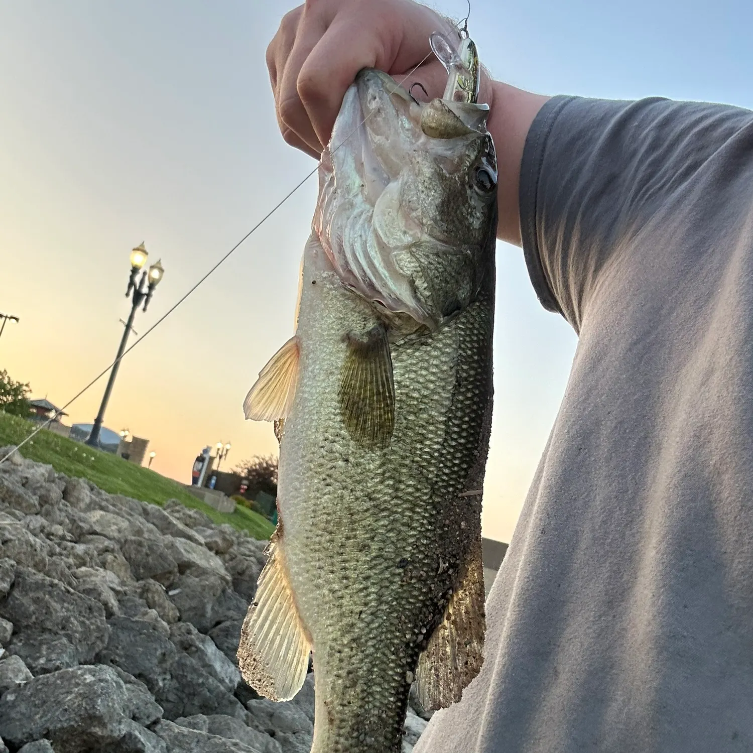 angler catch