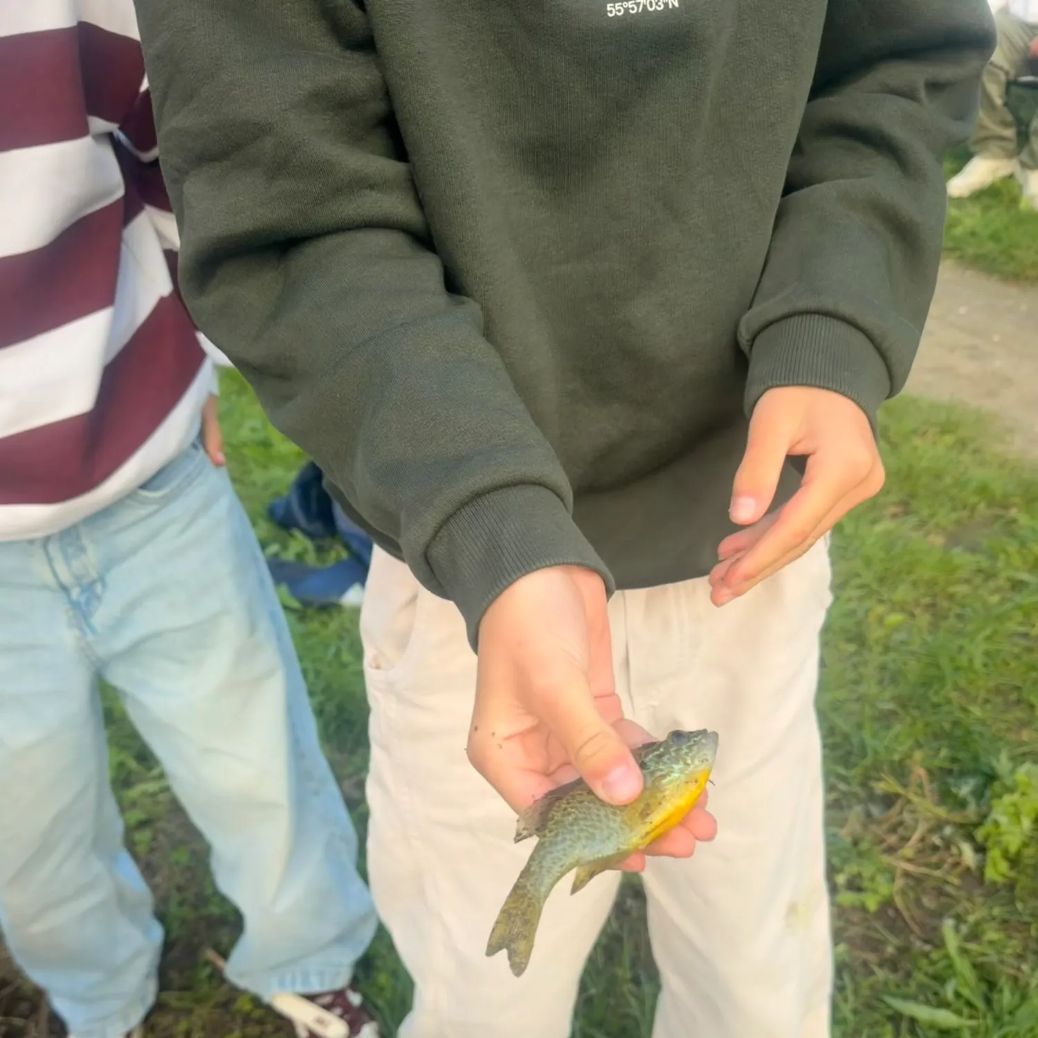 Fish caught on Fishbrain