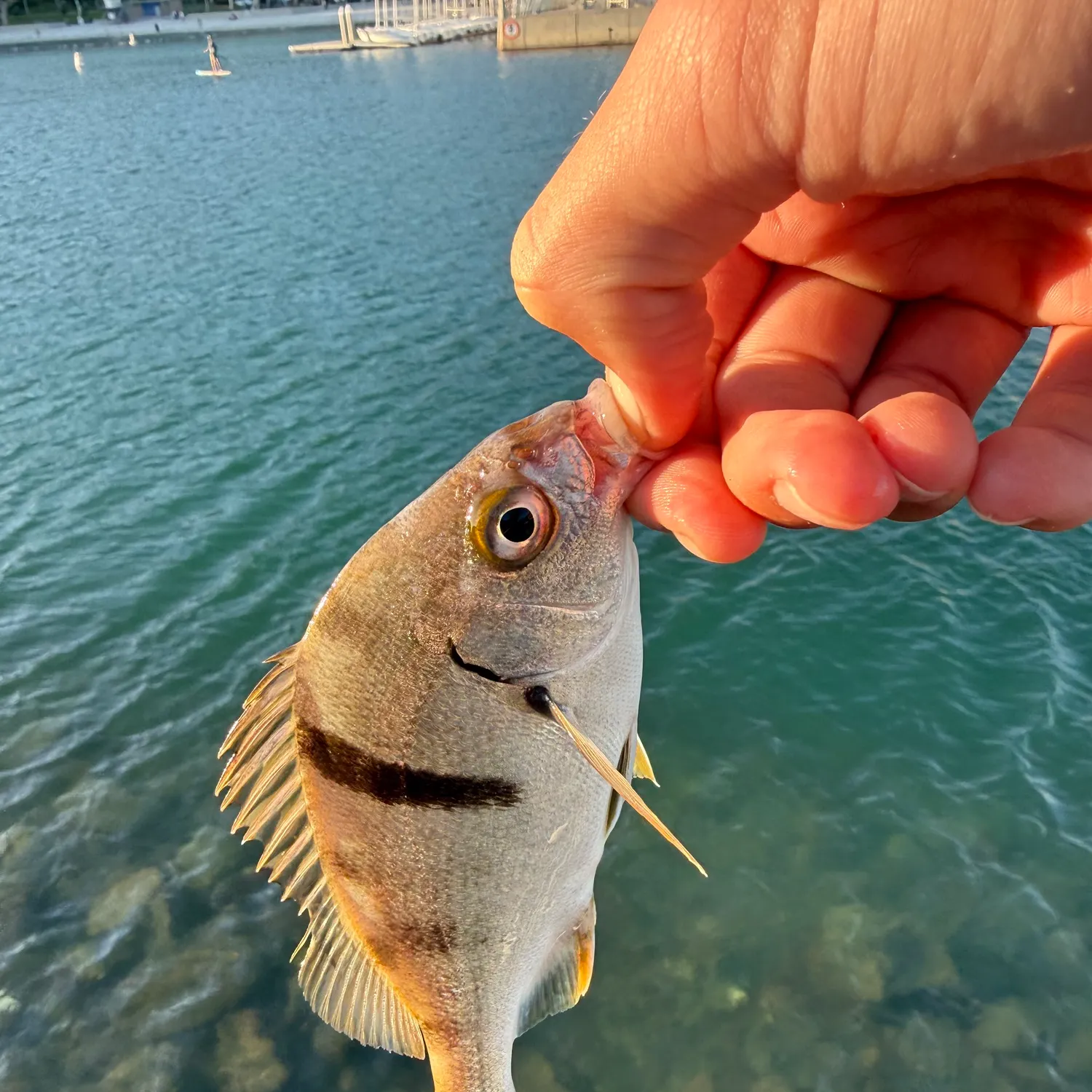 catch