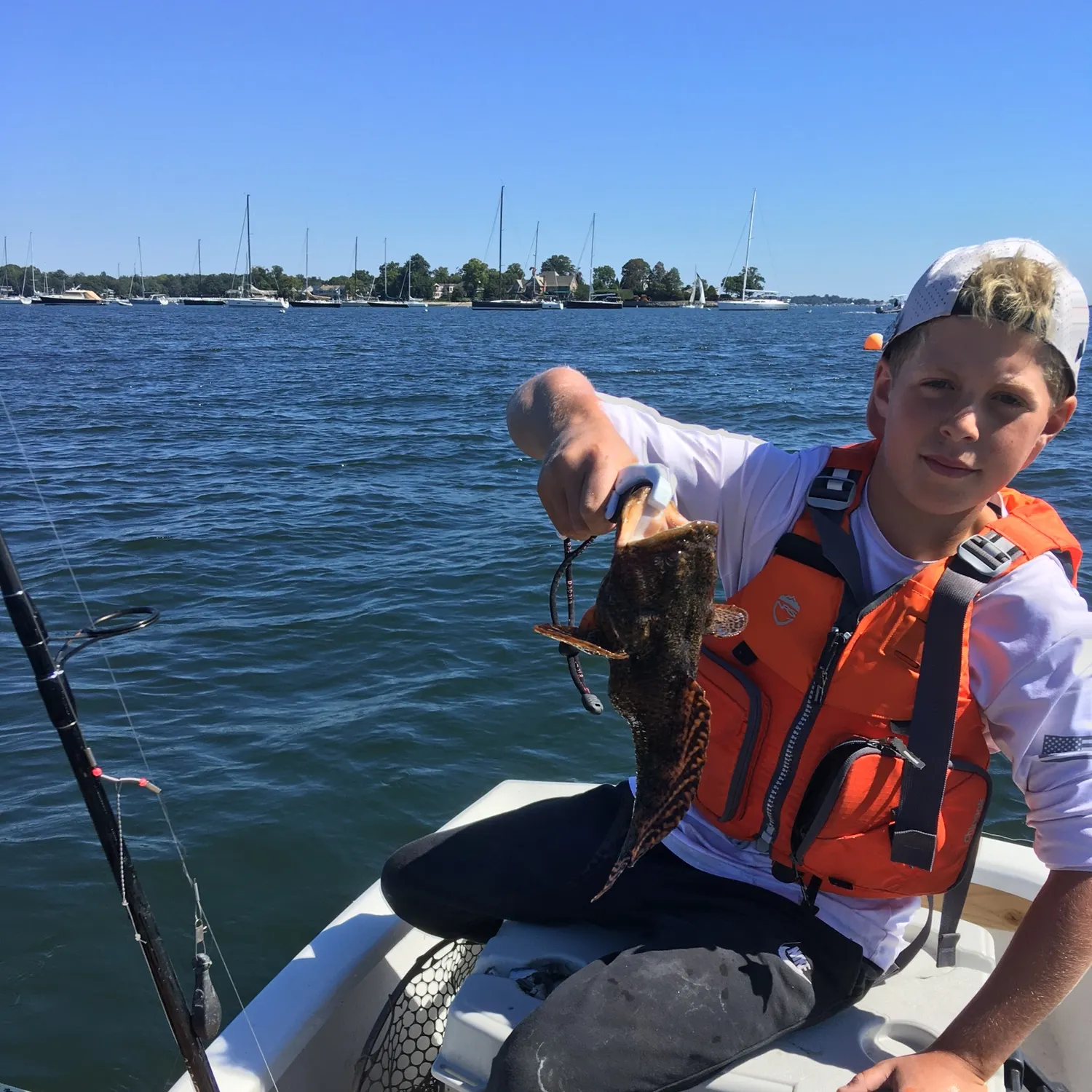Oyster toadfish caught on Fishbrain