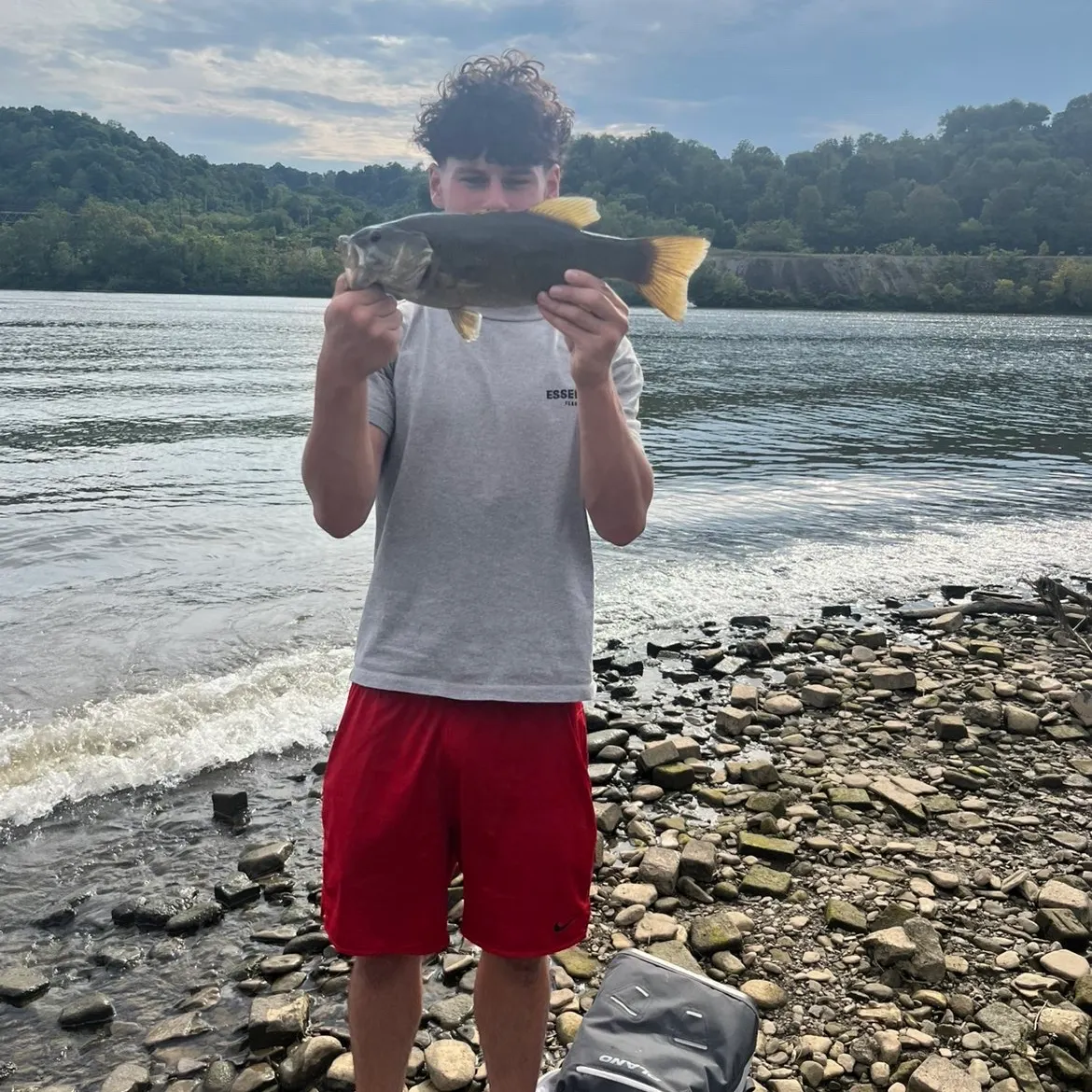 Smallmouth bass caught on Fishbrain