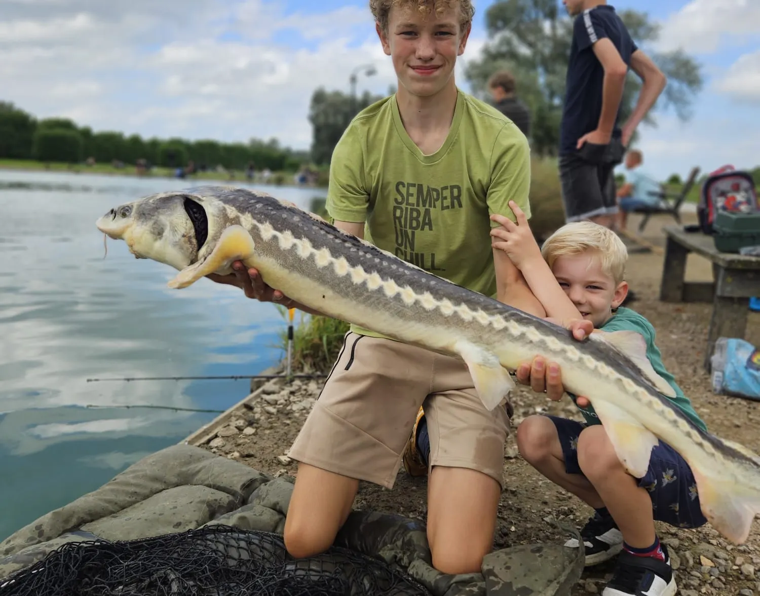 Russian sturgeon