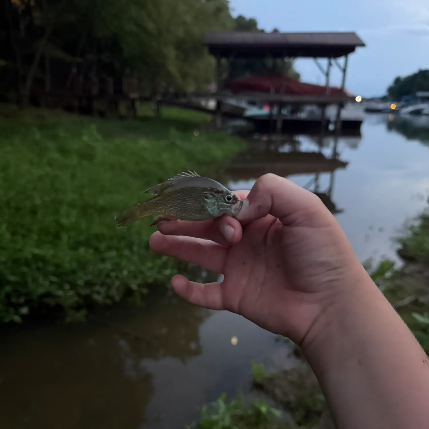 catch