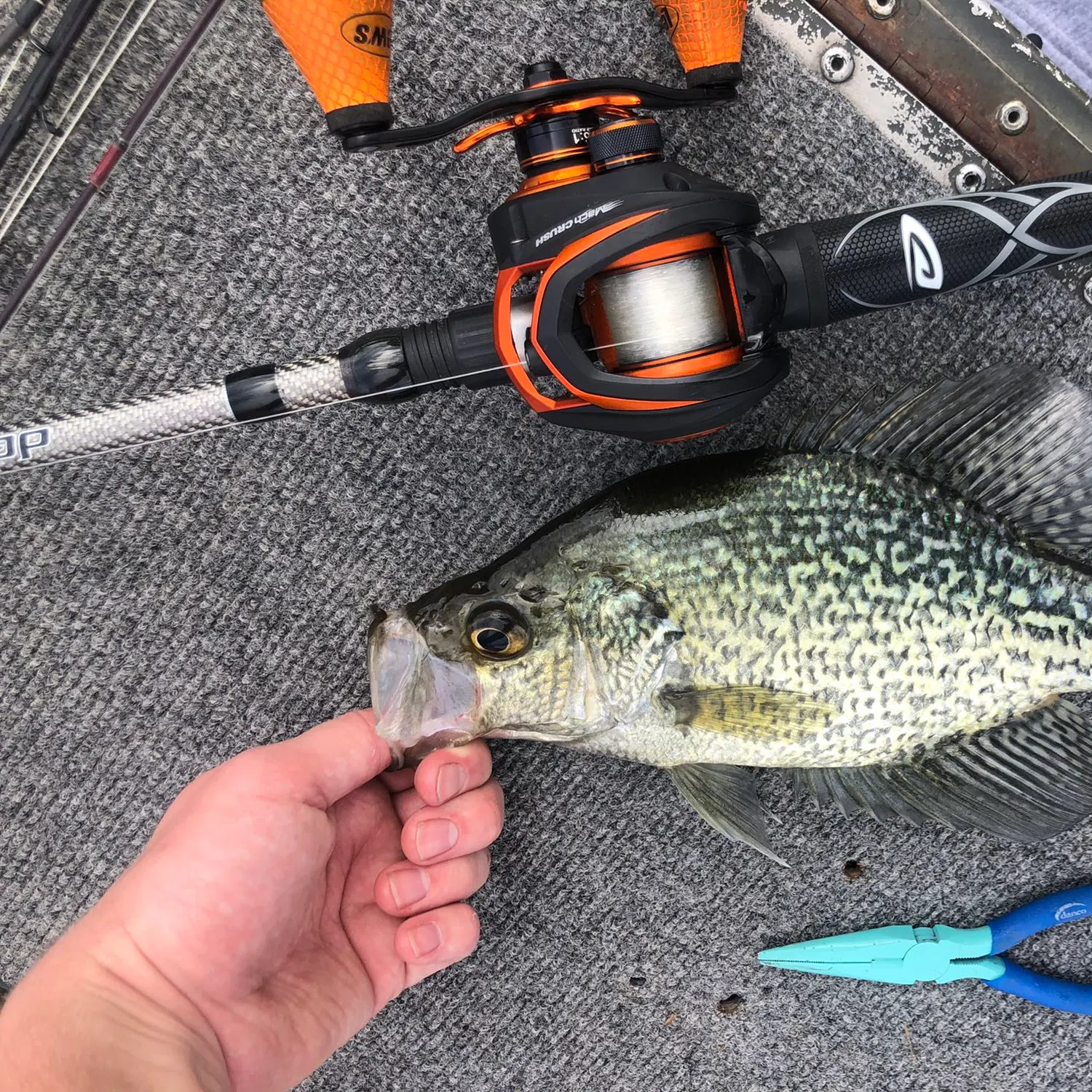 recently logged catches