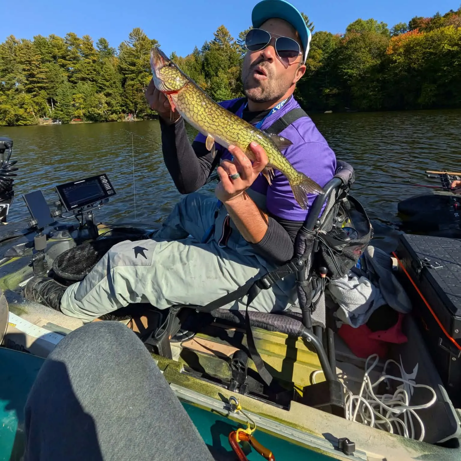 Chain pickerel caught on Fishbrain