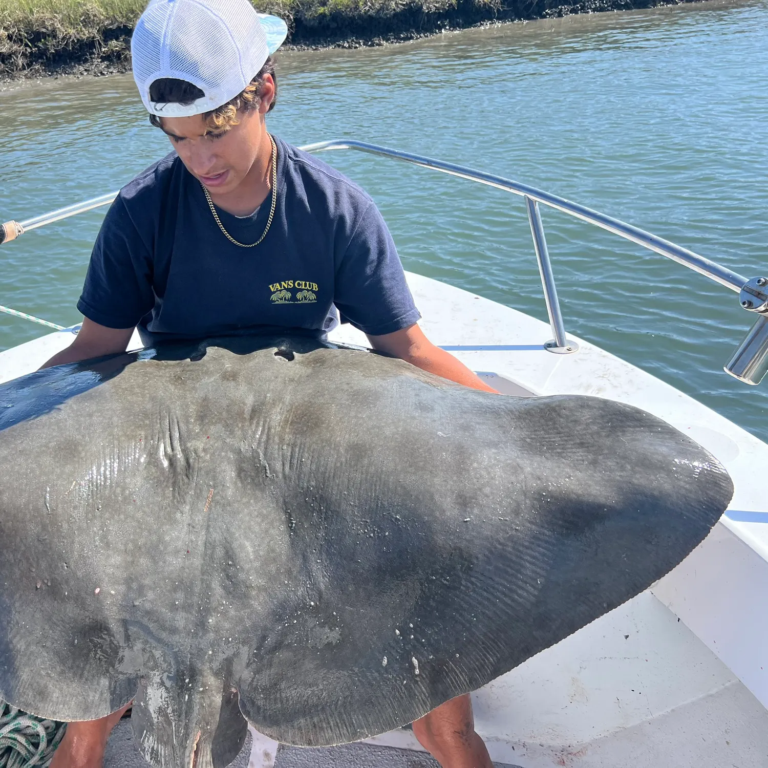 The most recent California butterfly ray catches on Fishbrain