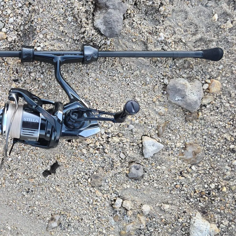 The most recent Brown Hoplo catches on Fishbrain