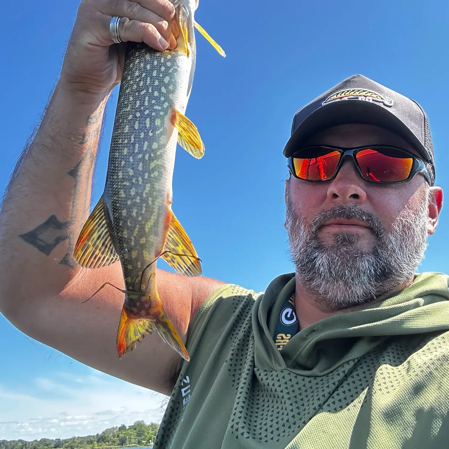 Northern pike caught on Fishbrain
