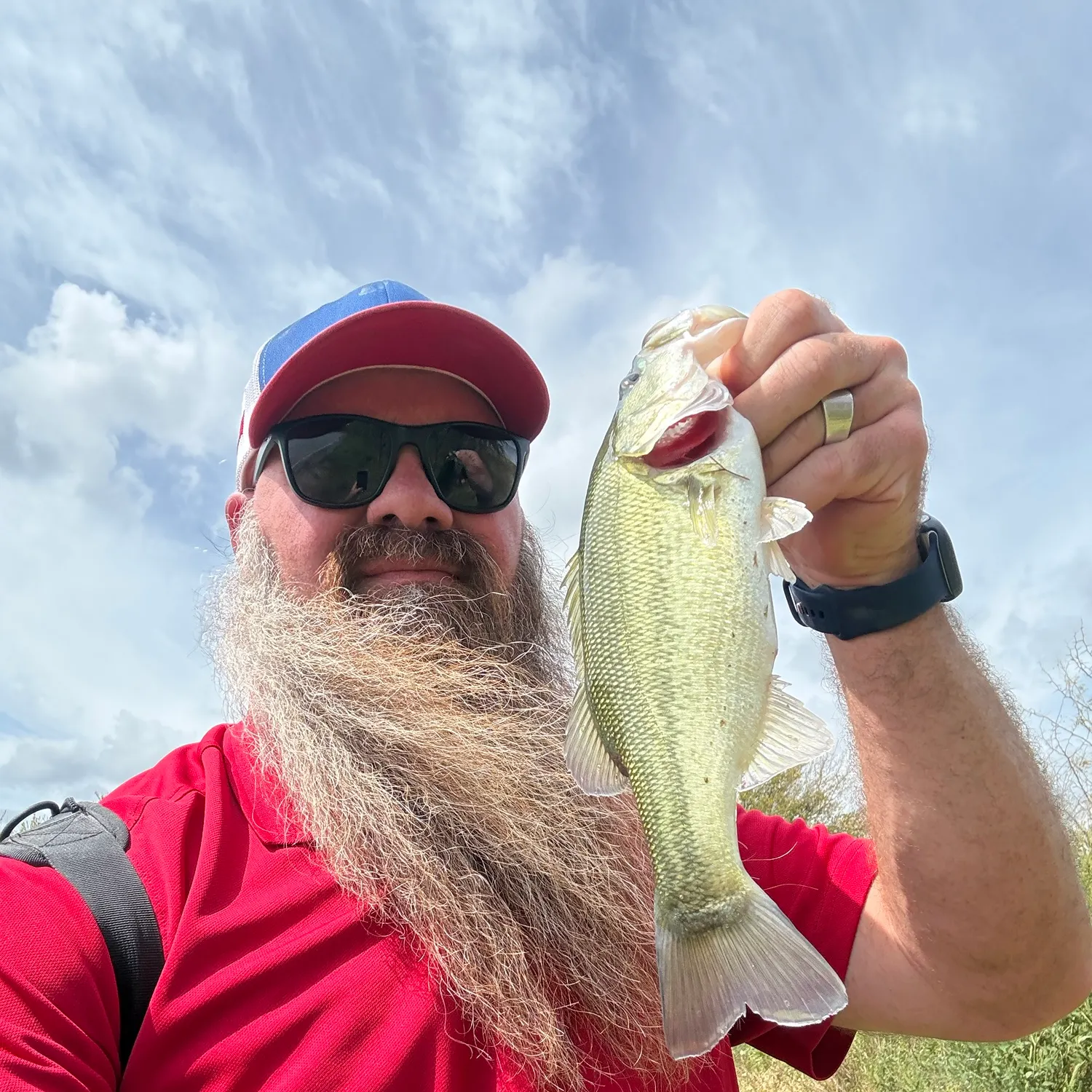 Largemouth bass caught on Fishbrain