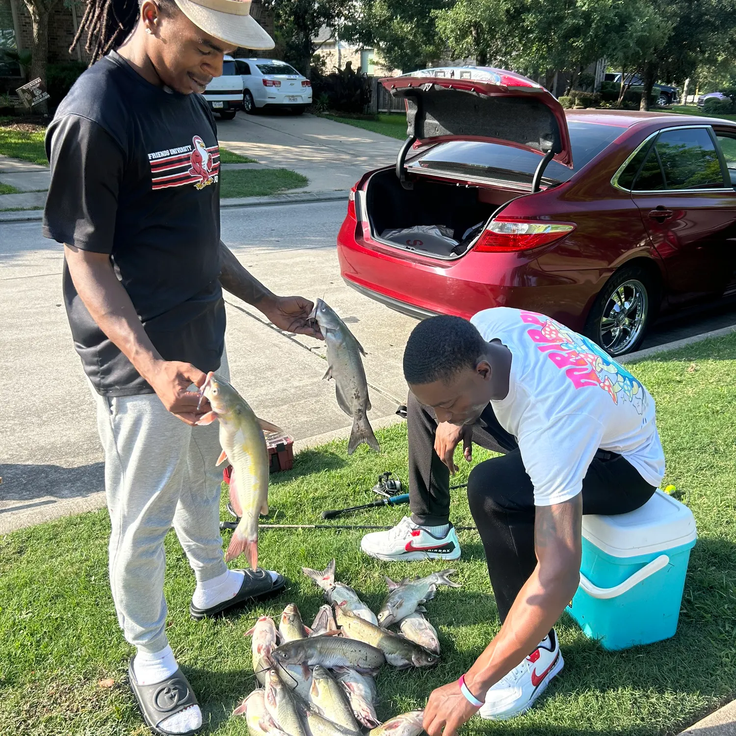 recently logged catches