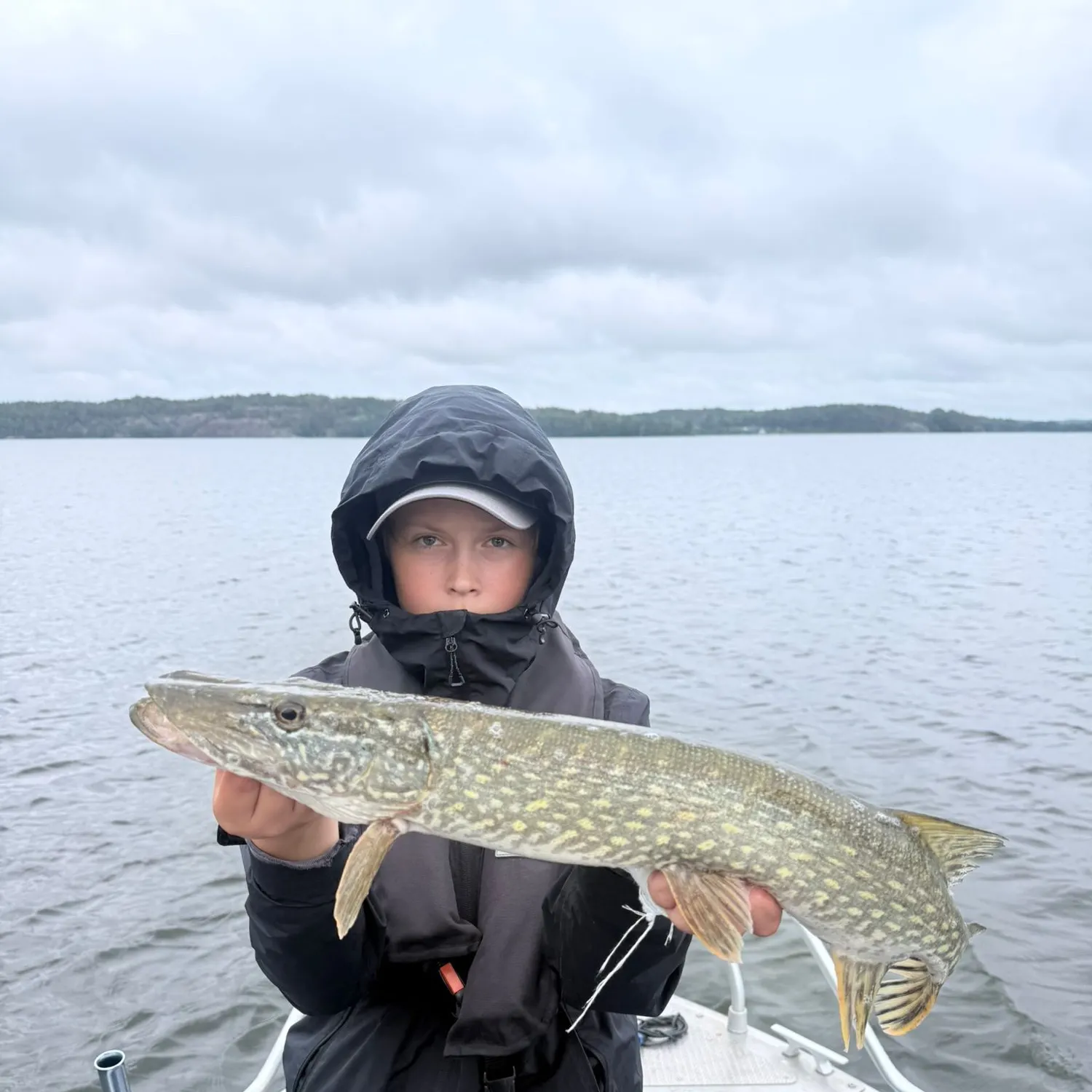 Northern pike caught on Fishbrain