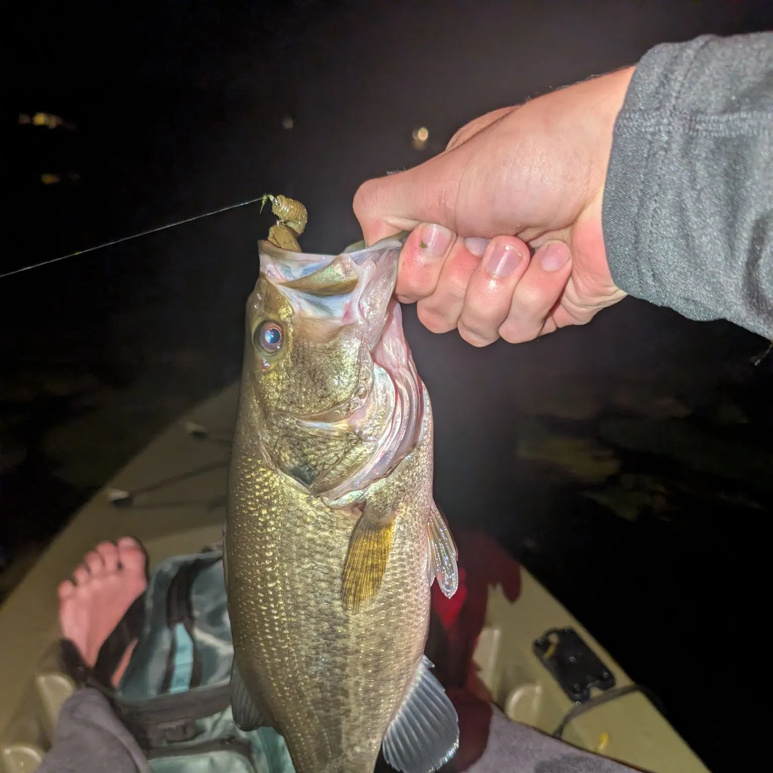 Largemouth bass caught on Fishbrain