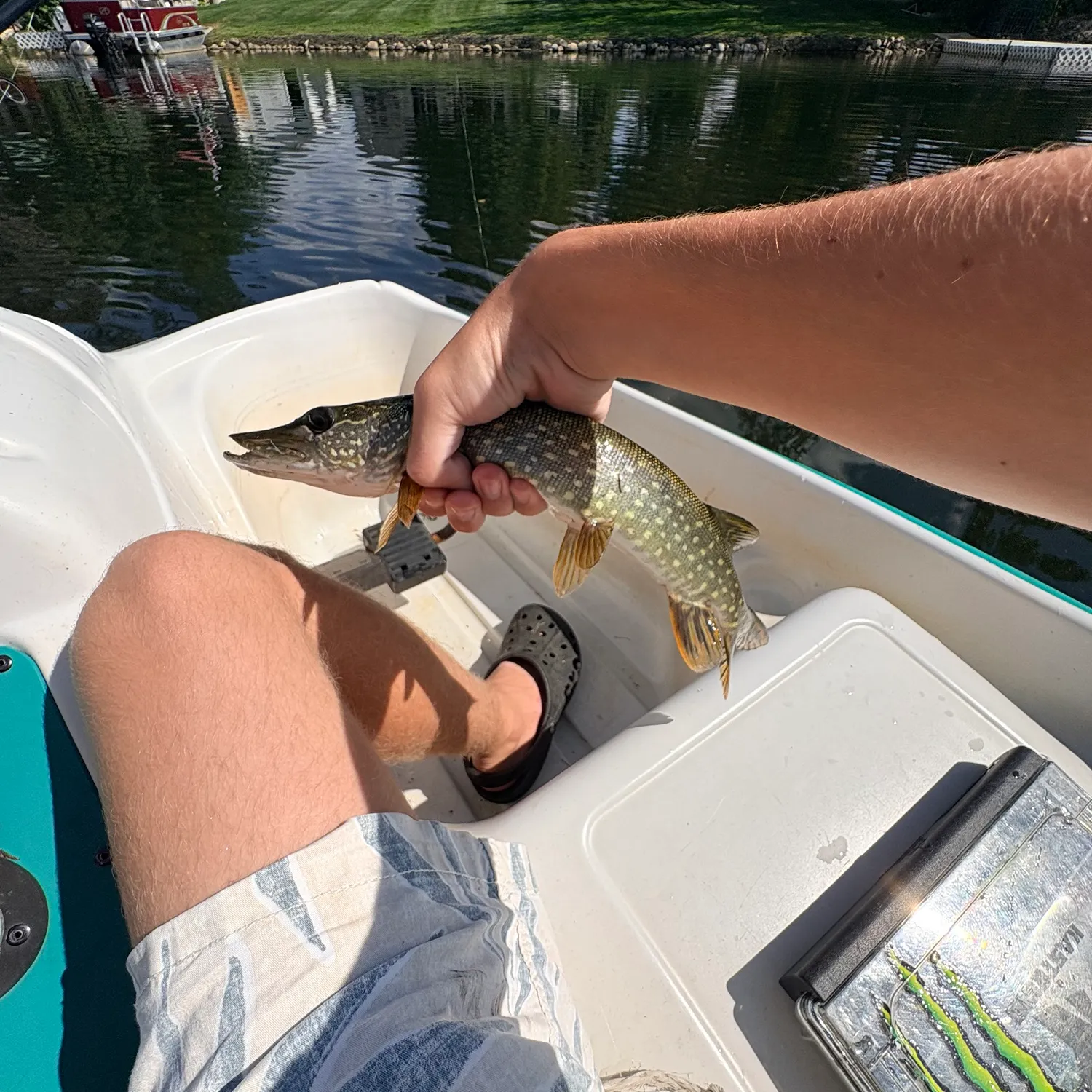 Northern pike caught on Fishbrain