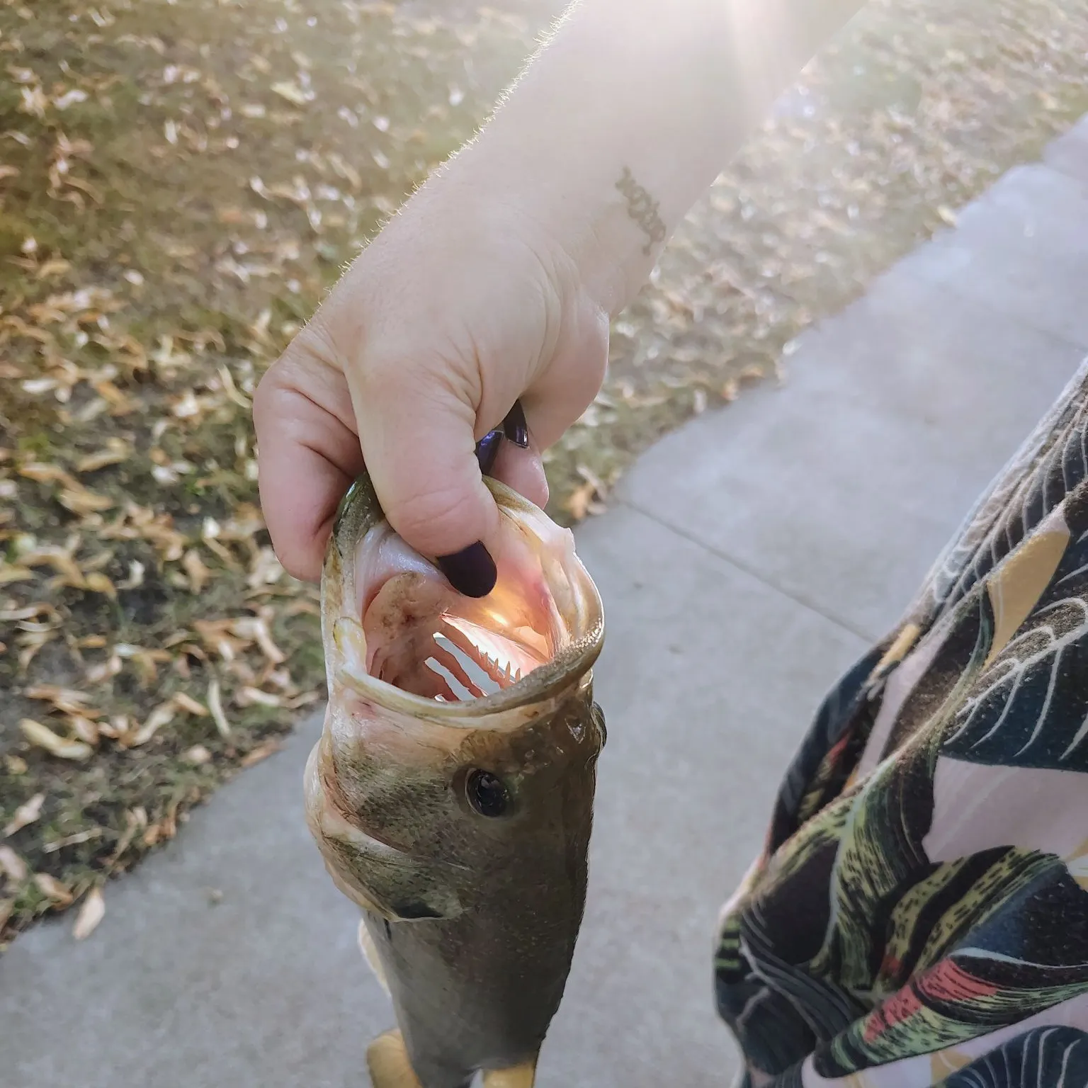 catch