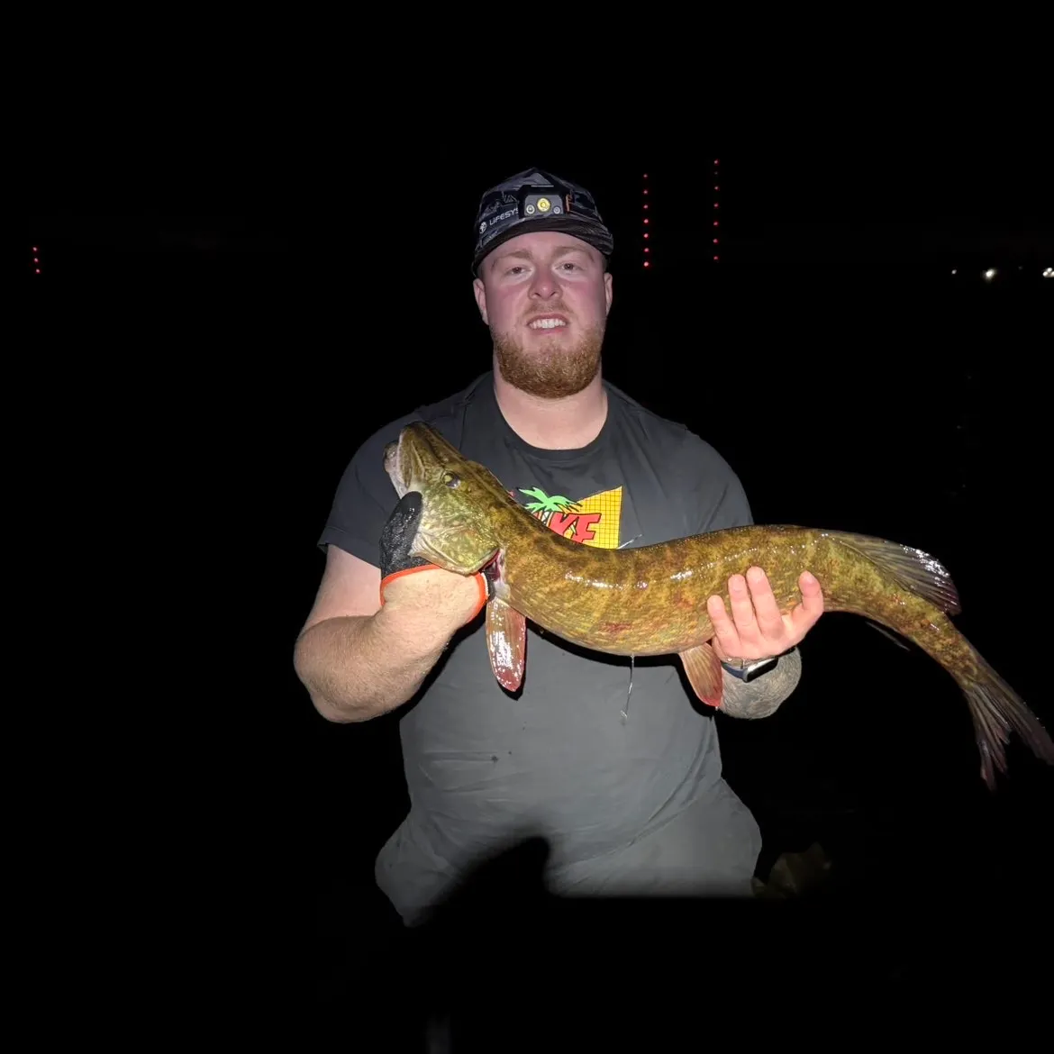 Northern pike caught on Fishbrain