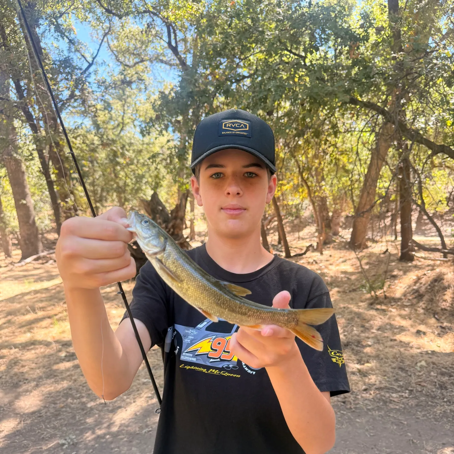 The most recent Sacramento pikeminnow catches on Fishbrain